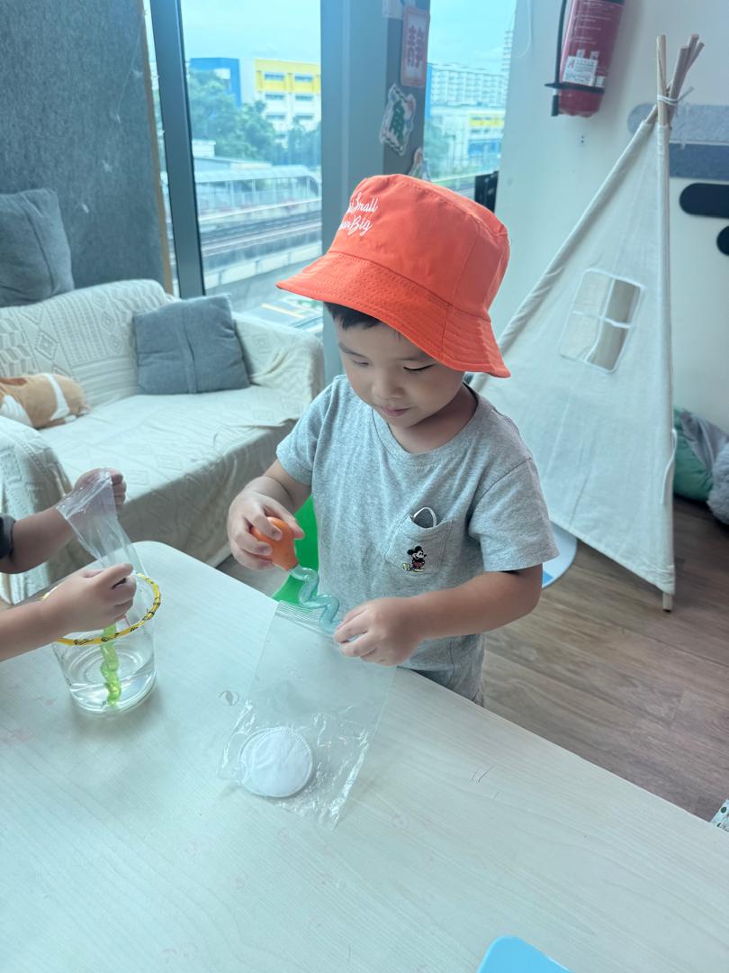 植物需要什么 — photo 5