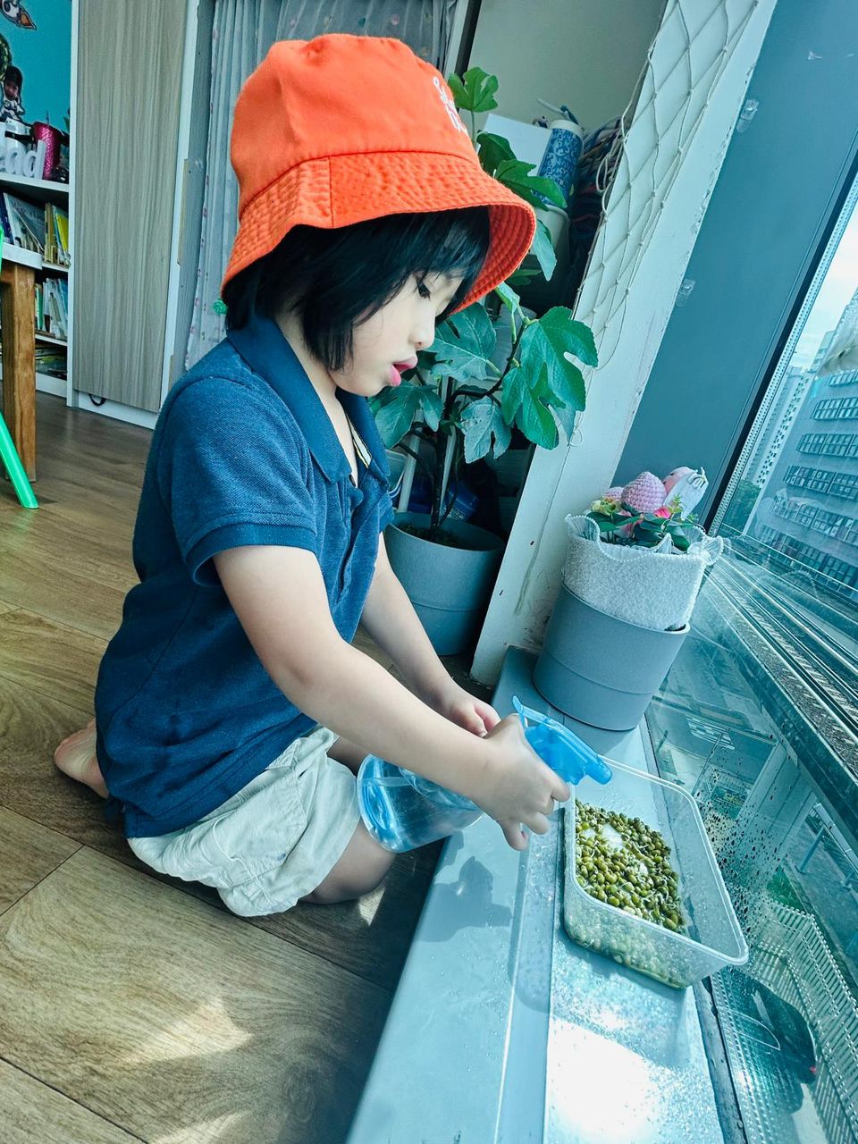 植物需要什么 — photo 5