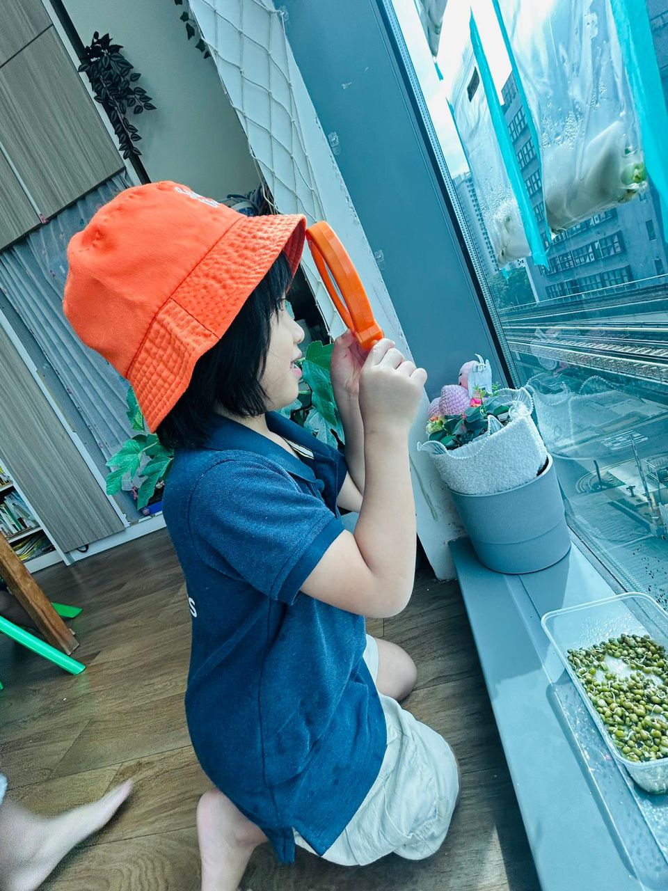 植物需要什么 — photo 1