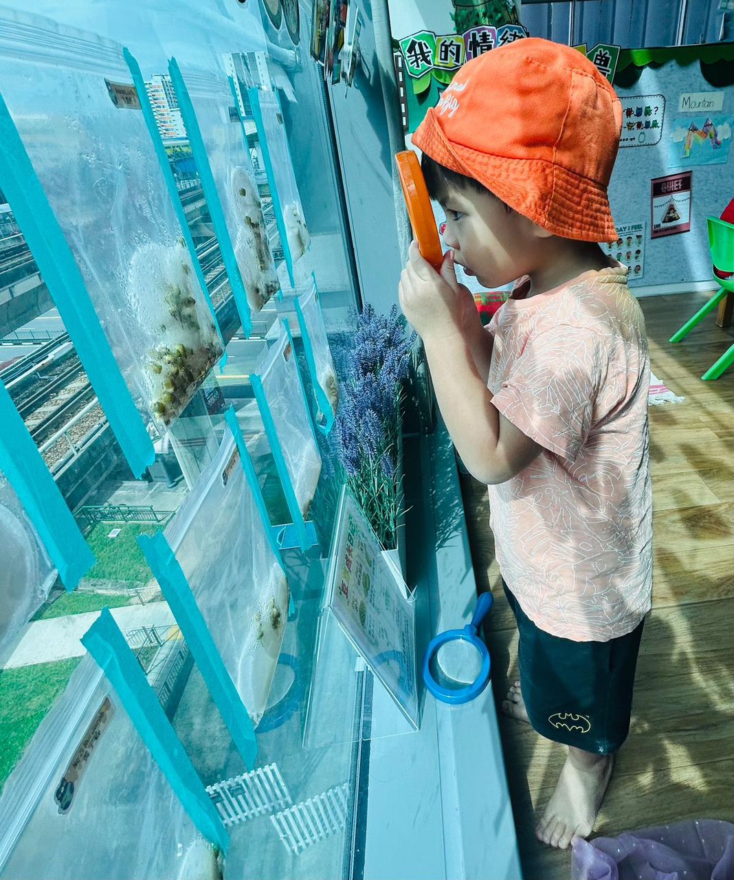 植物需要什么 — photo 2