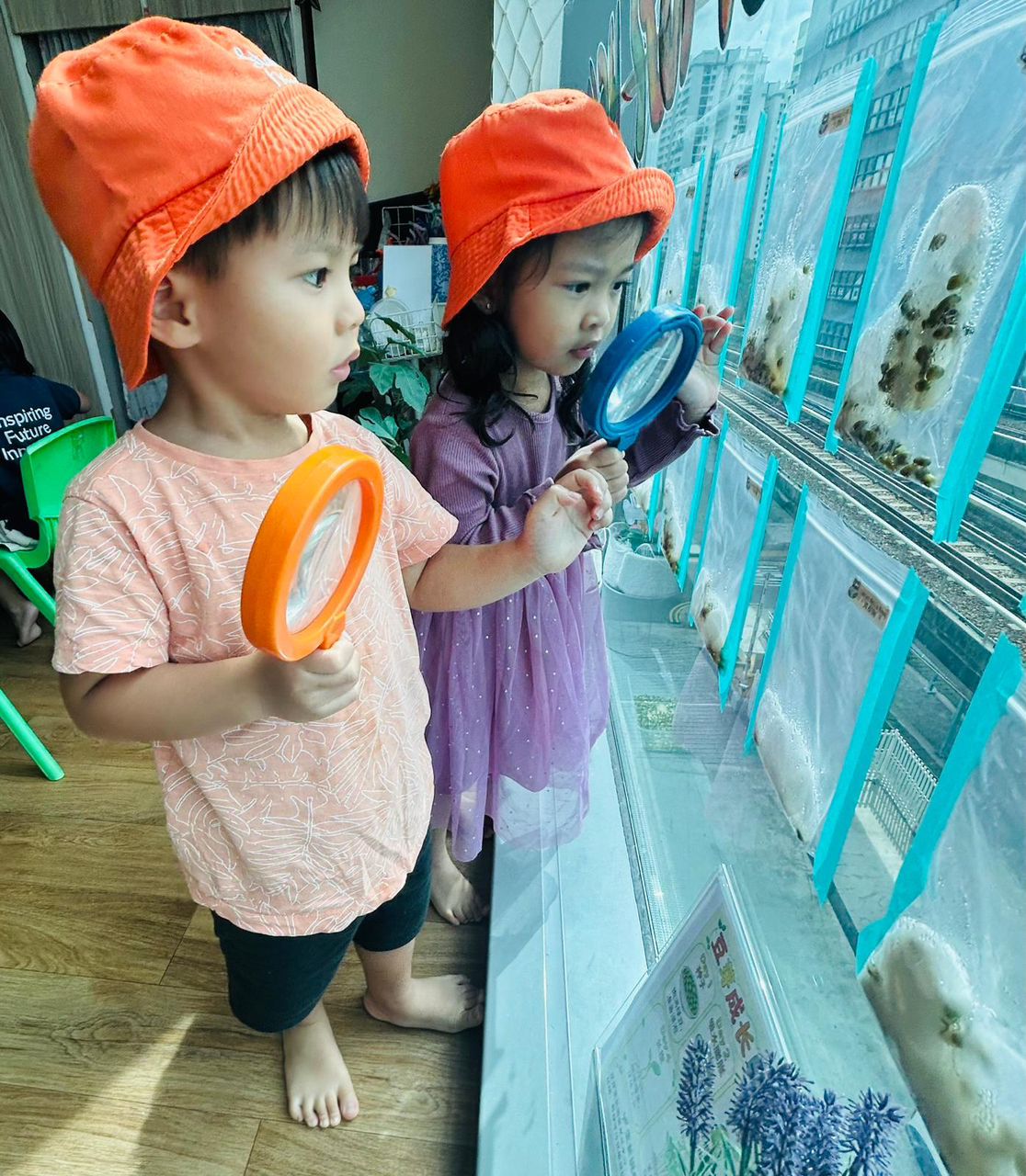 植物需要什么 — photo 3