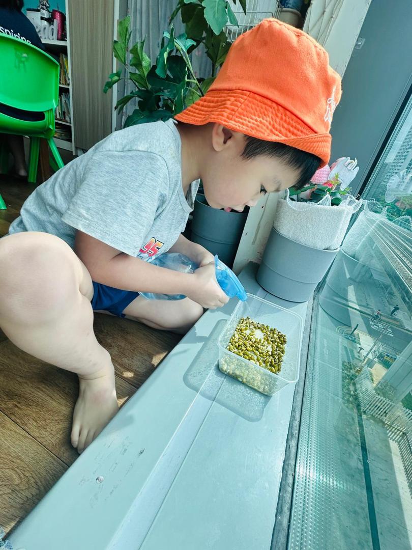 植物需要什么 — photo 1
