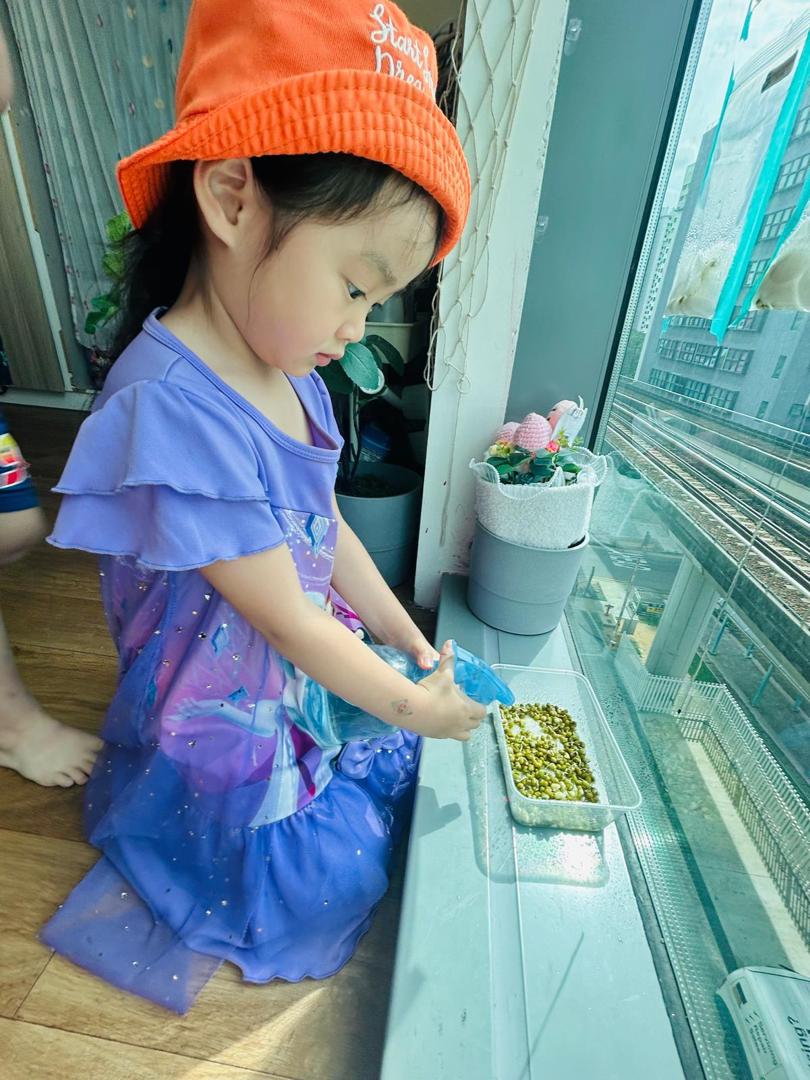 植物需要什么 — photo 2
