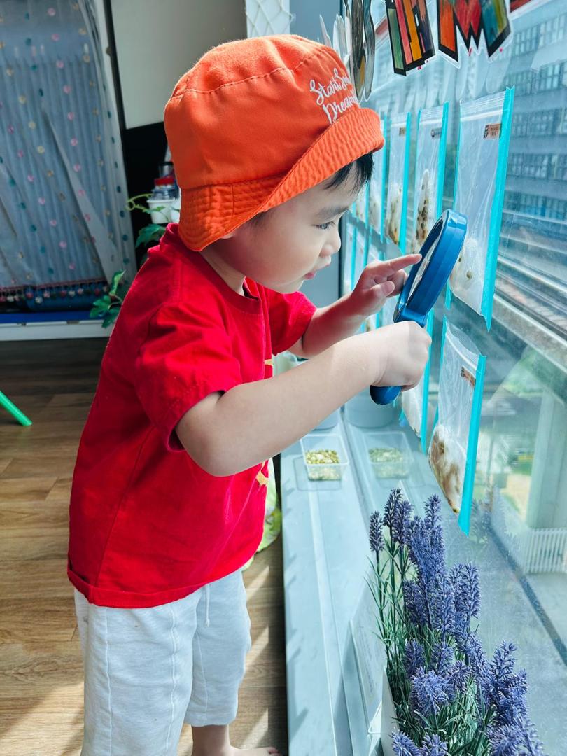 植物需要什么 — photo 3