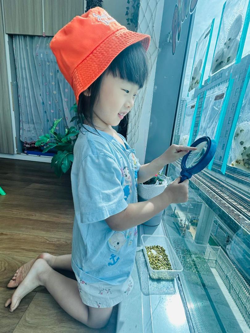 植物需要什么 — photo 5