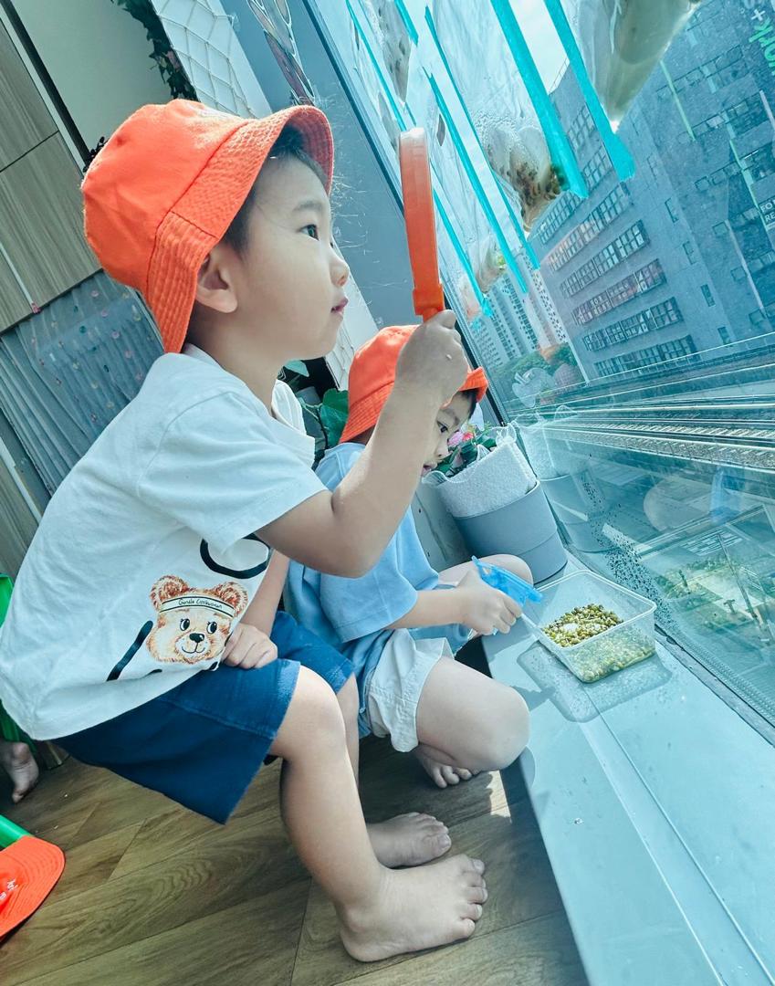 植物需要什么 — photo 7