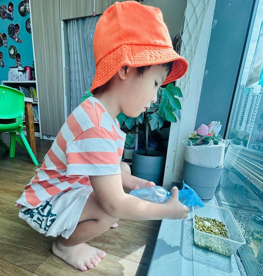 植物需要什么 — photo 8