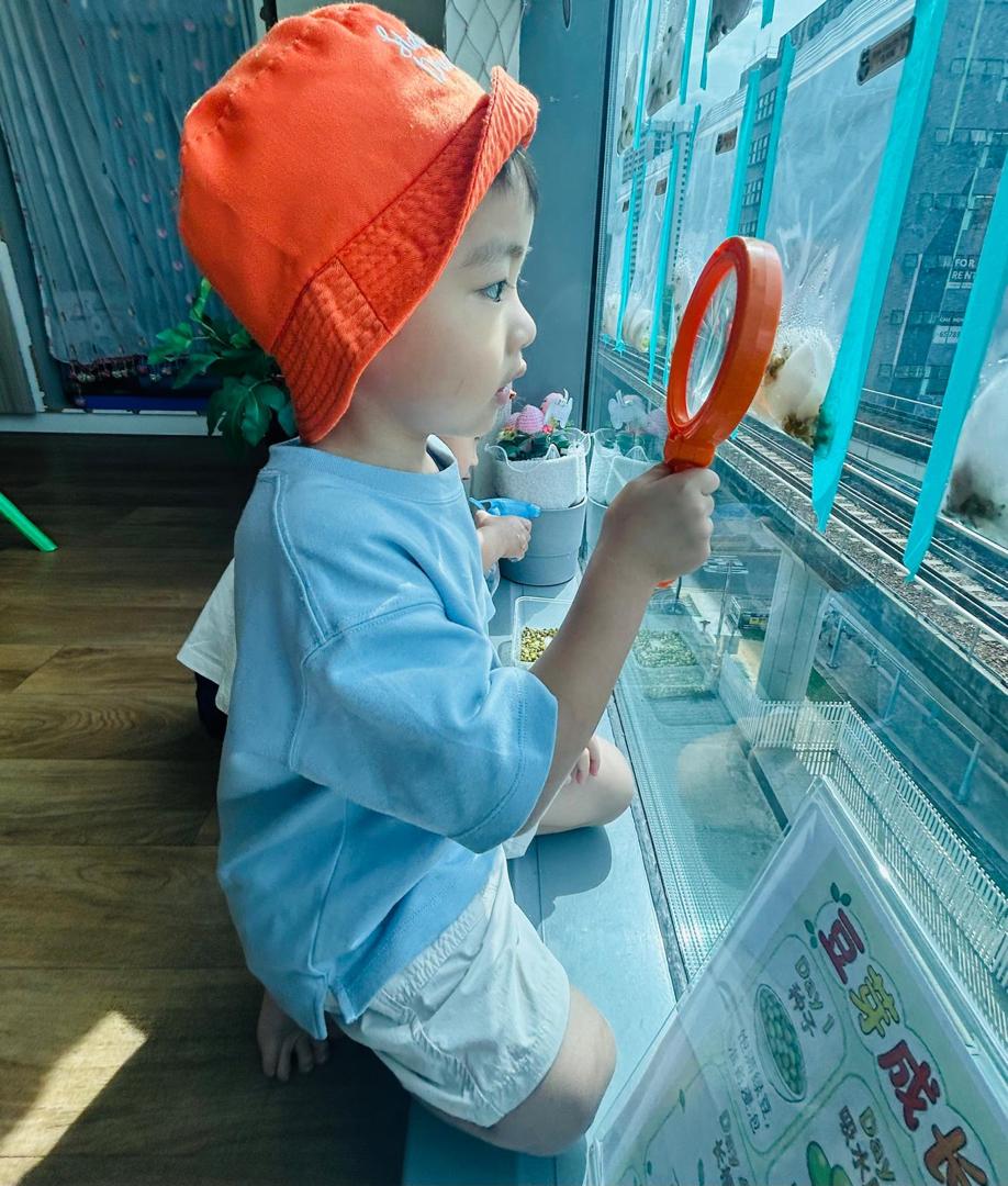 植物需要什么 — photo 9