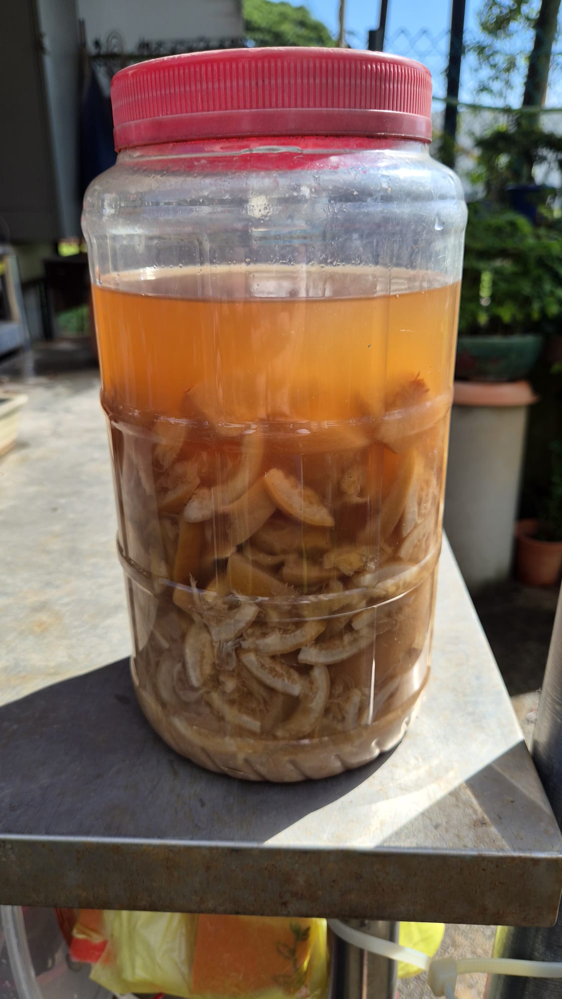 Raising Awareness on food wastage. — photo 3