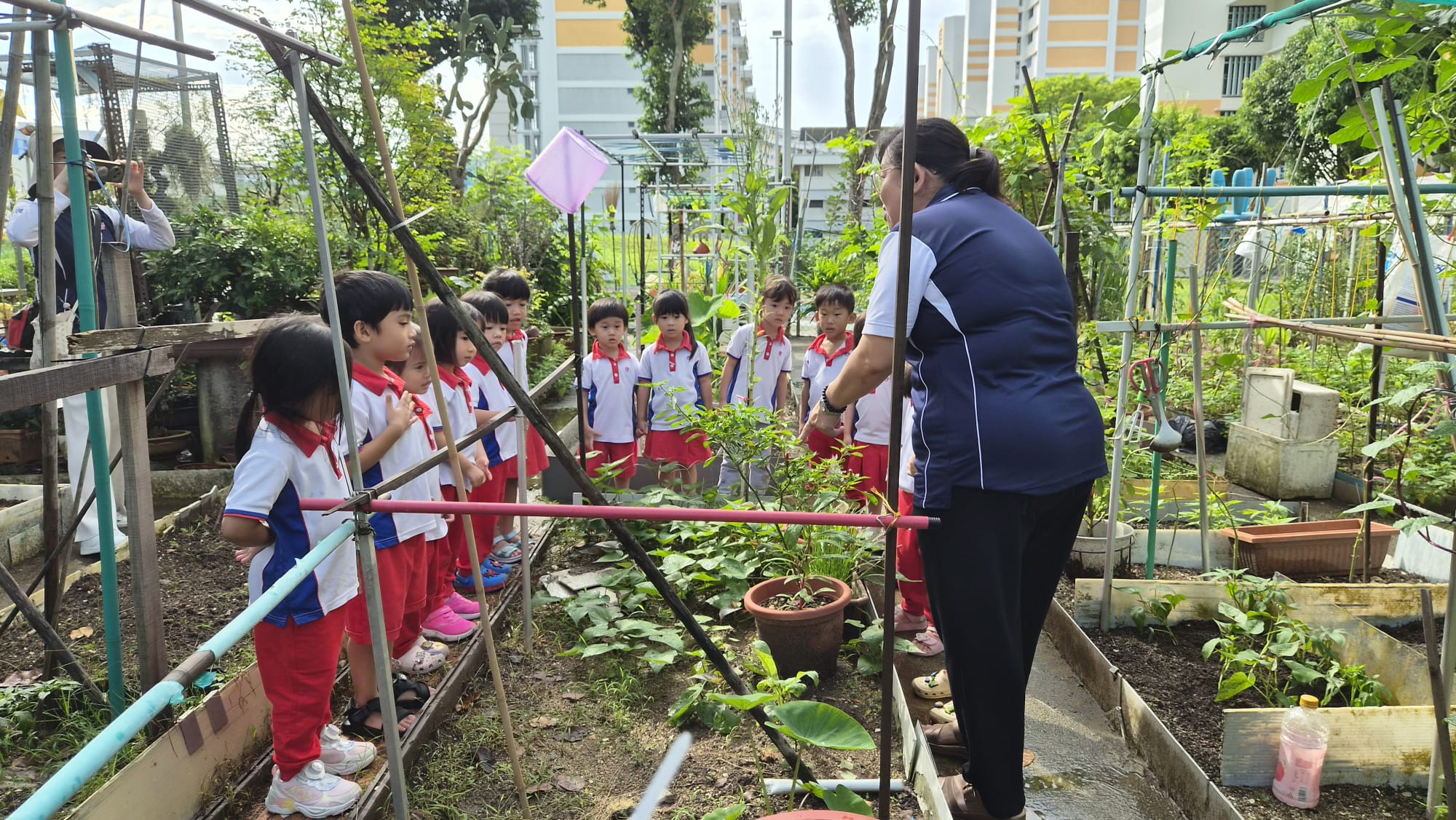 Raising Awareness on food wastage. — photo 1