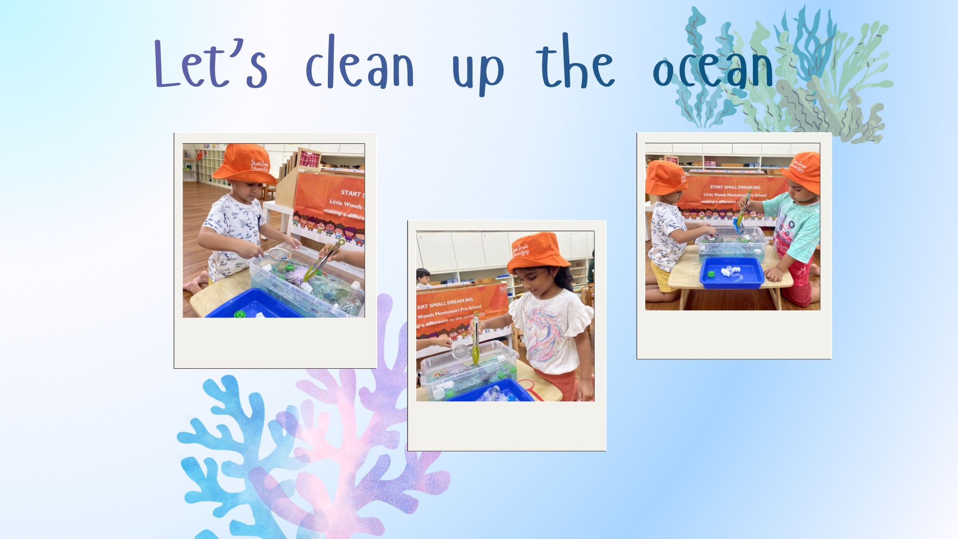 SSDB Project 2026 - Save Our Ocean — photo 1