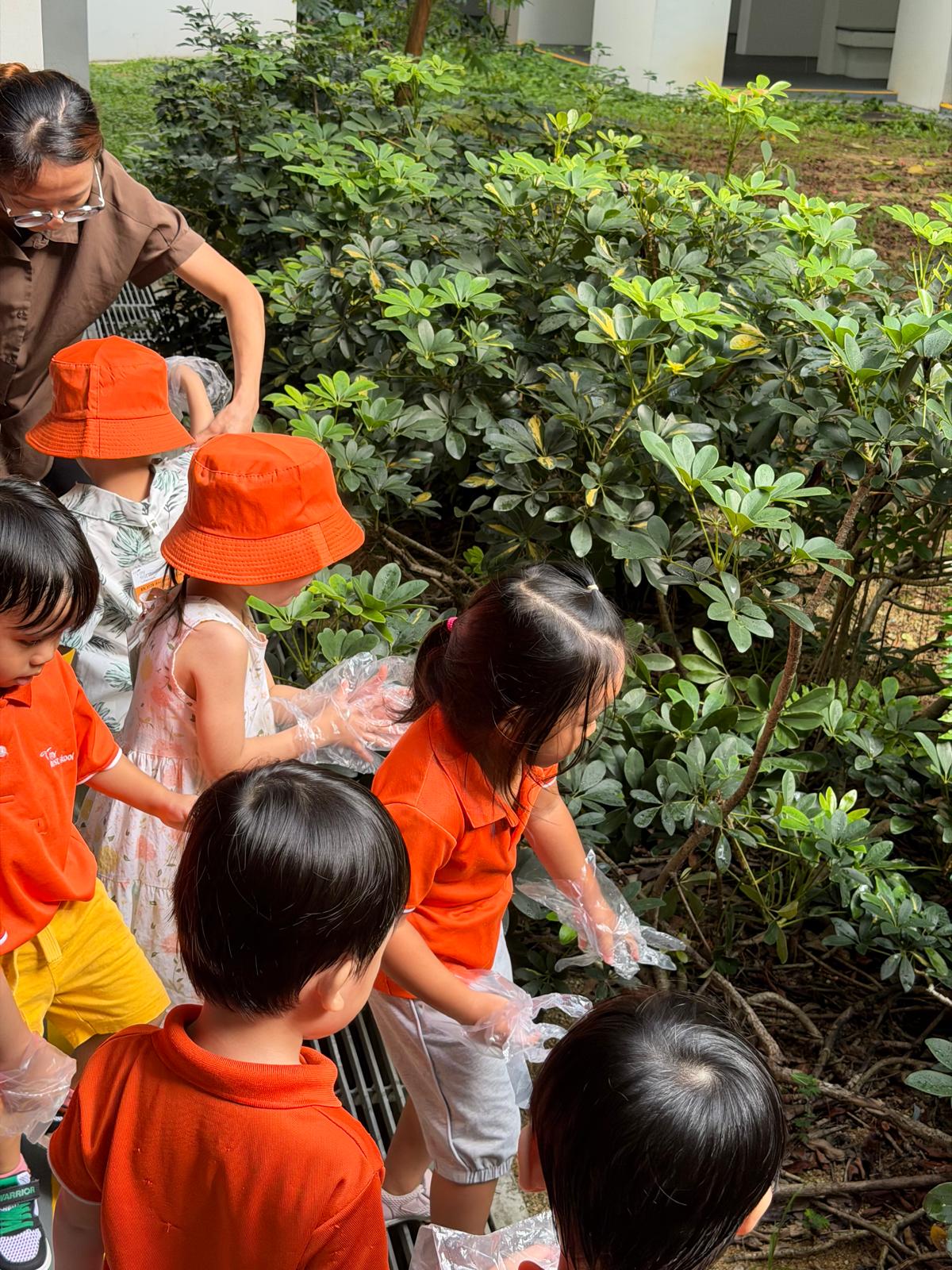 World  Environment Day- N2 picking litter — photo 2