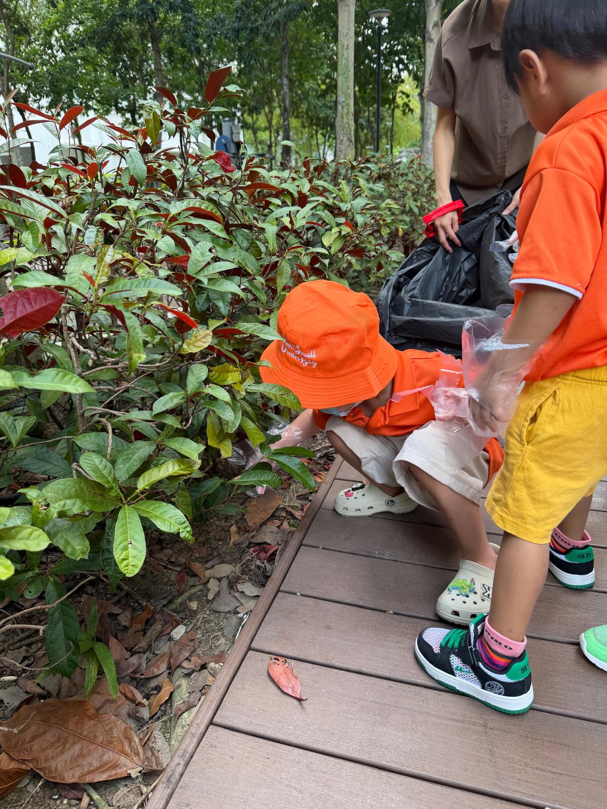 World  Environment Day- N2 picking litter — photo 3