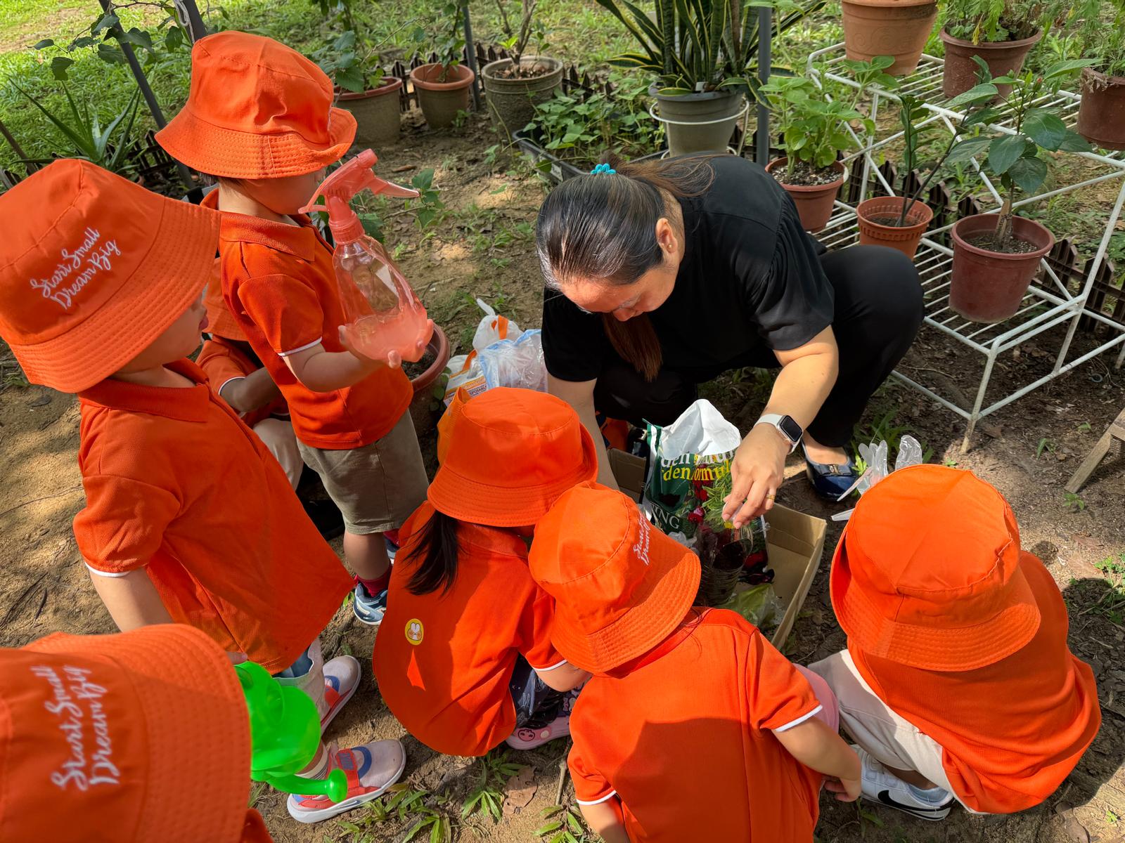 Planting Kang Kong — photo 2