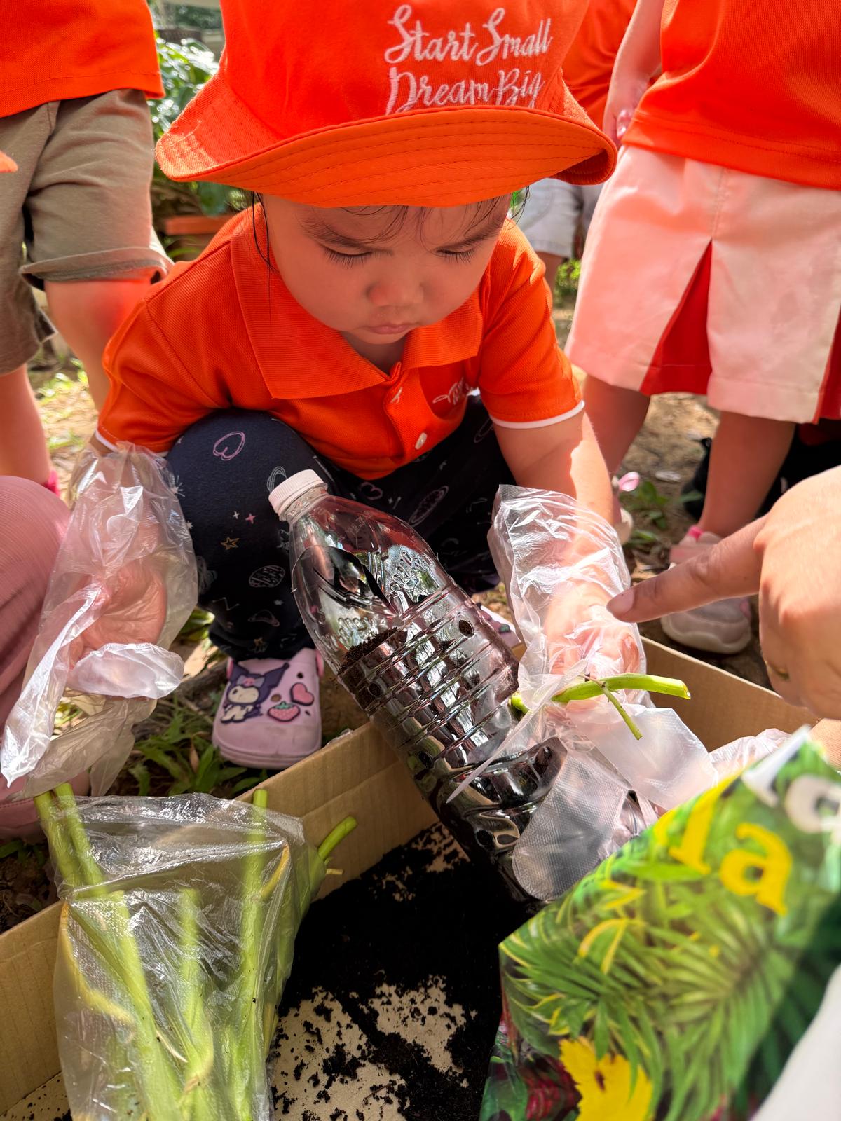 Planting Kang Kong — photo 3