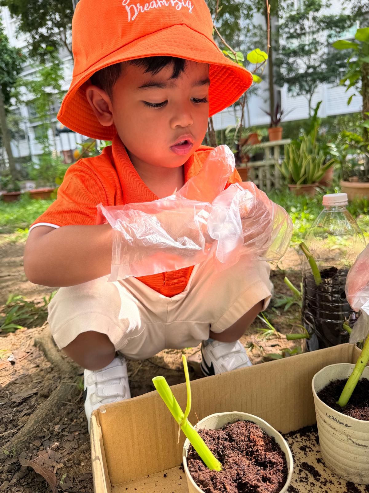 Planting Kang Kong — photo 4