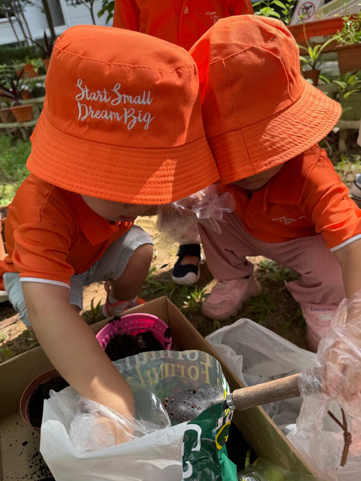 Planting Kang Kong — photo 5