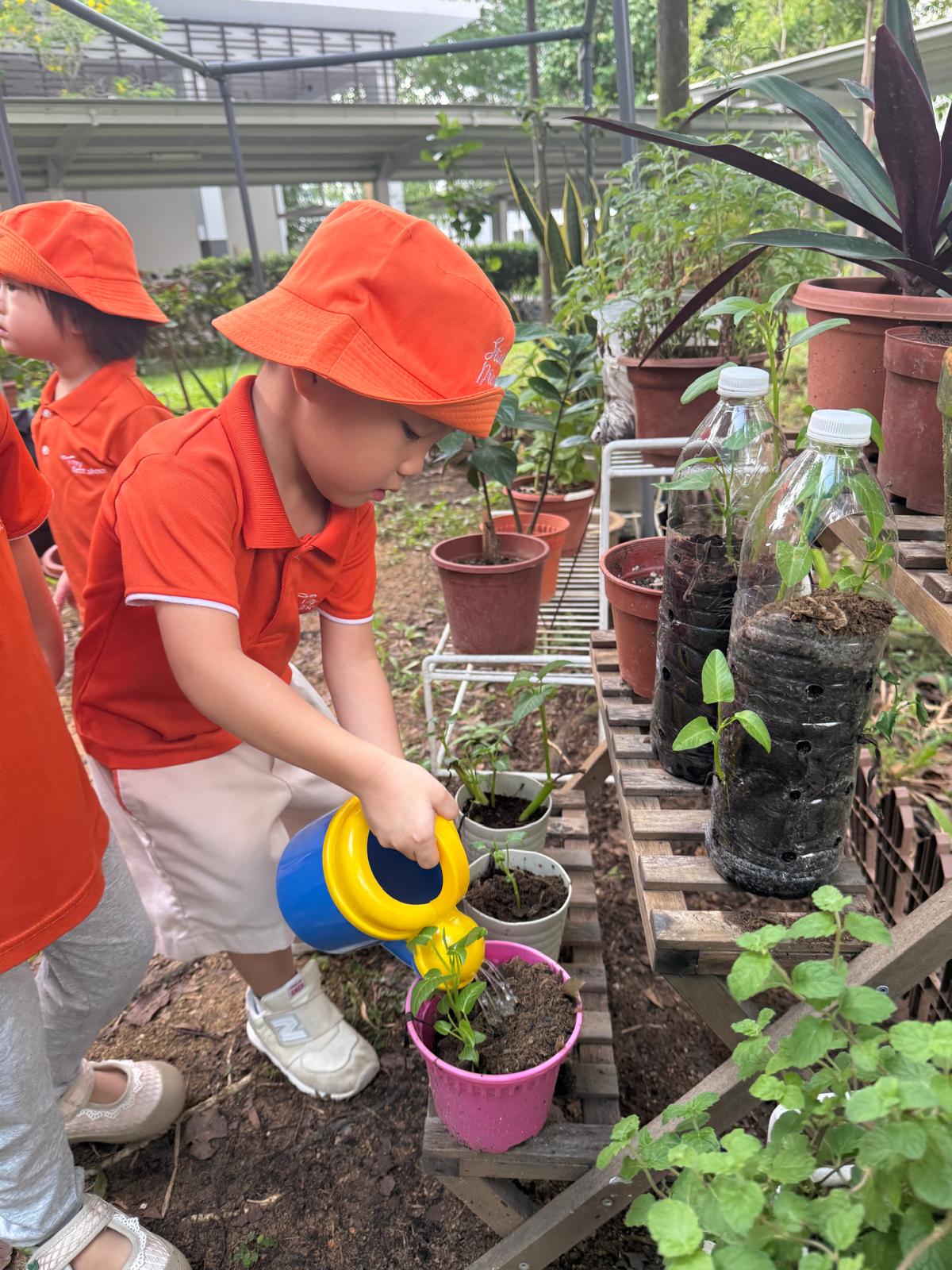 Learning Journey: Watering the plants