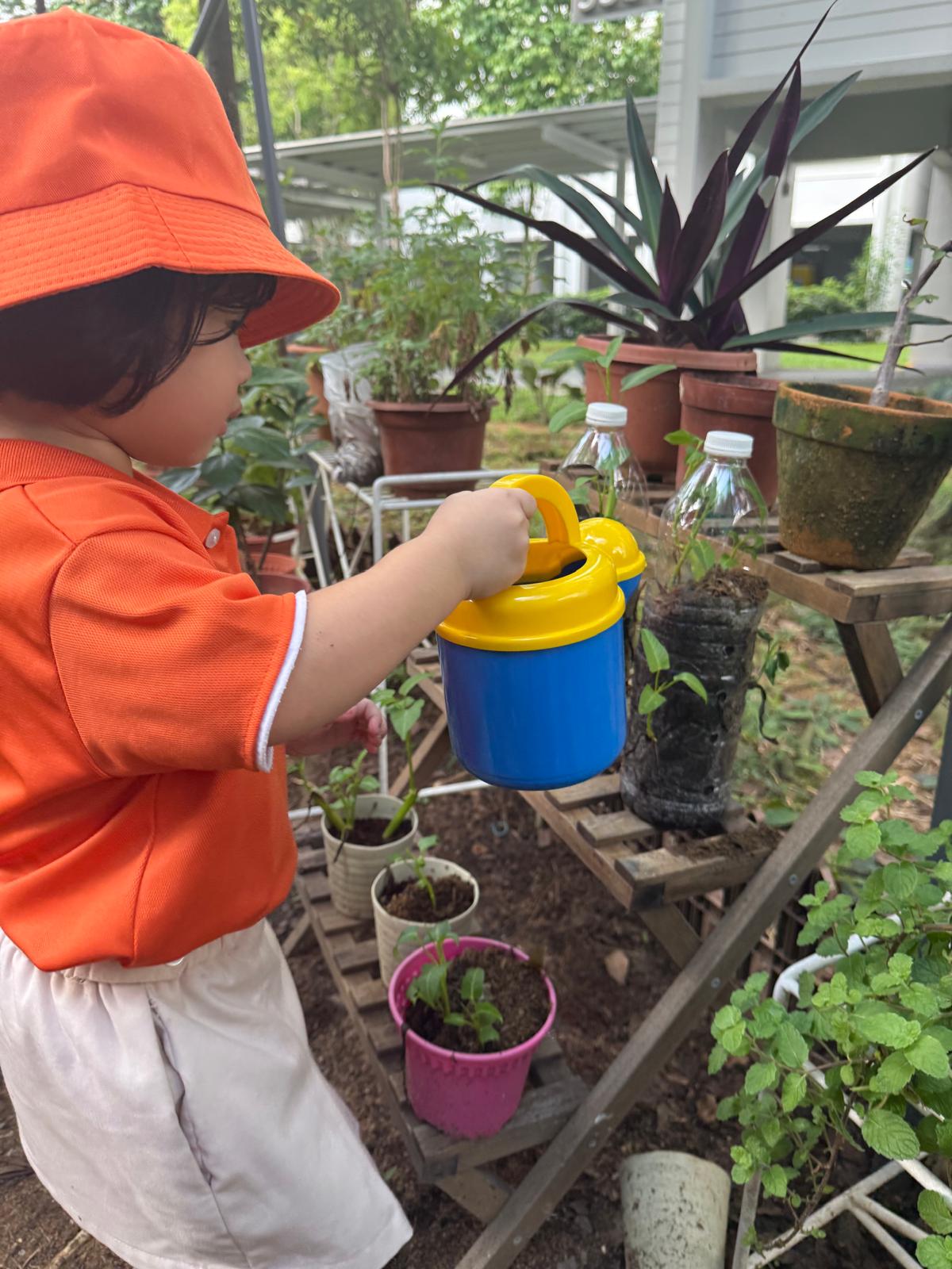 Learning Journey: Watering the plants — photo 2