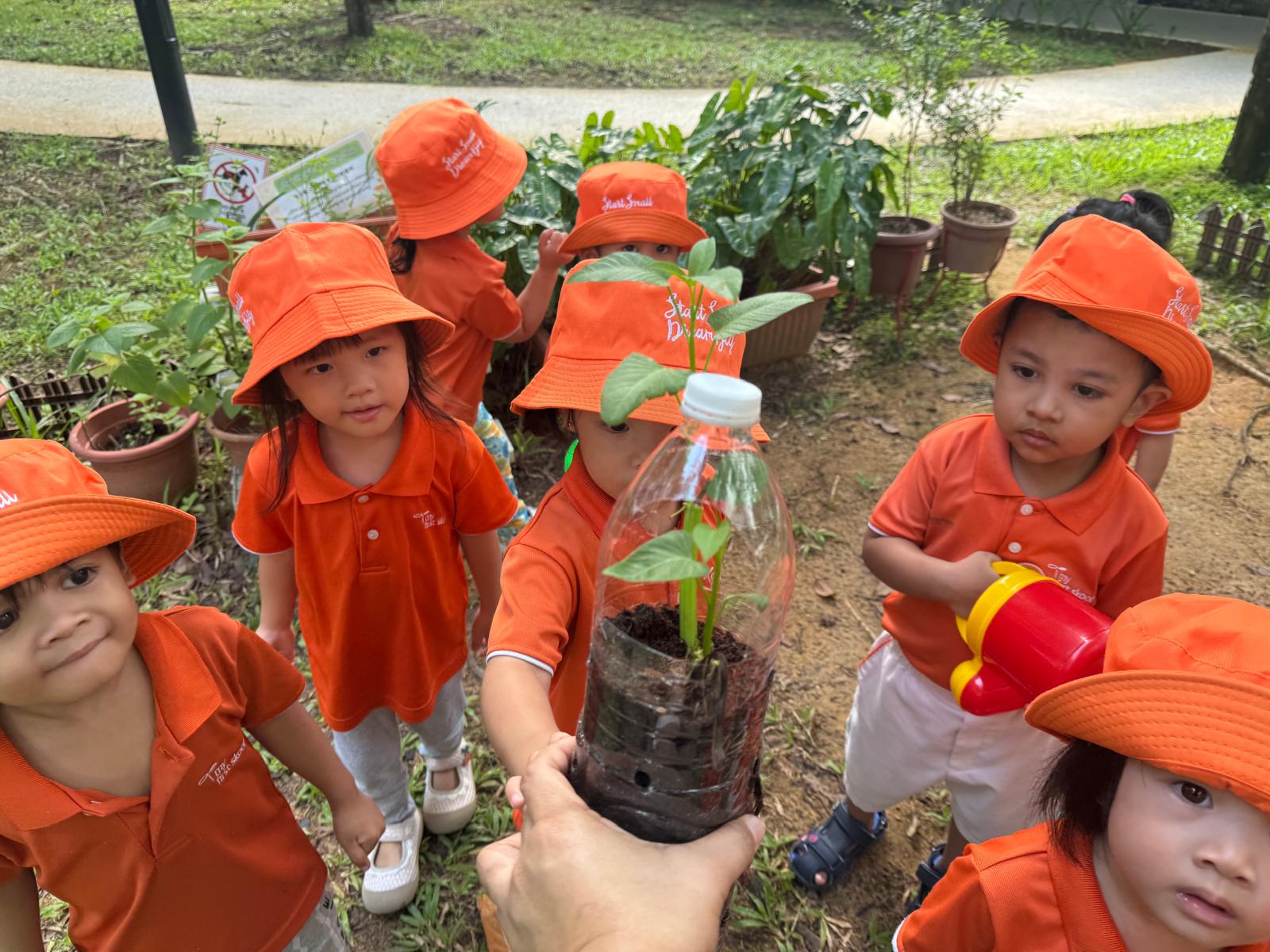 Learning Journey: Watering the plants — photo 3