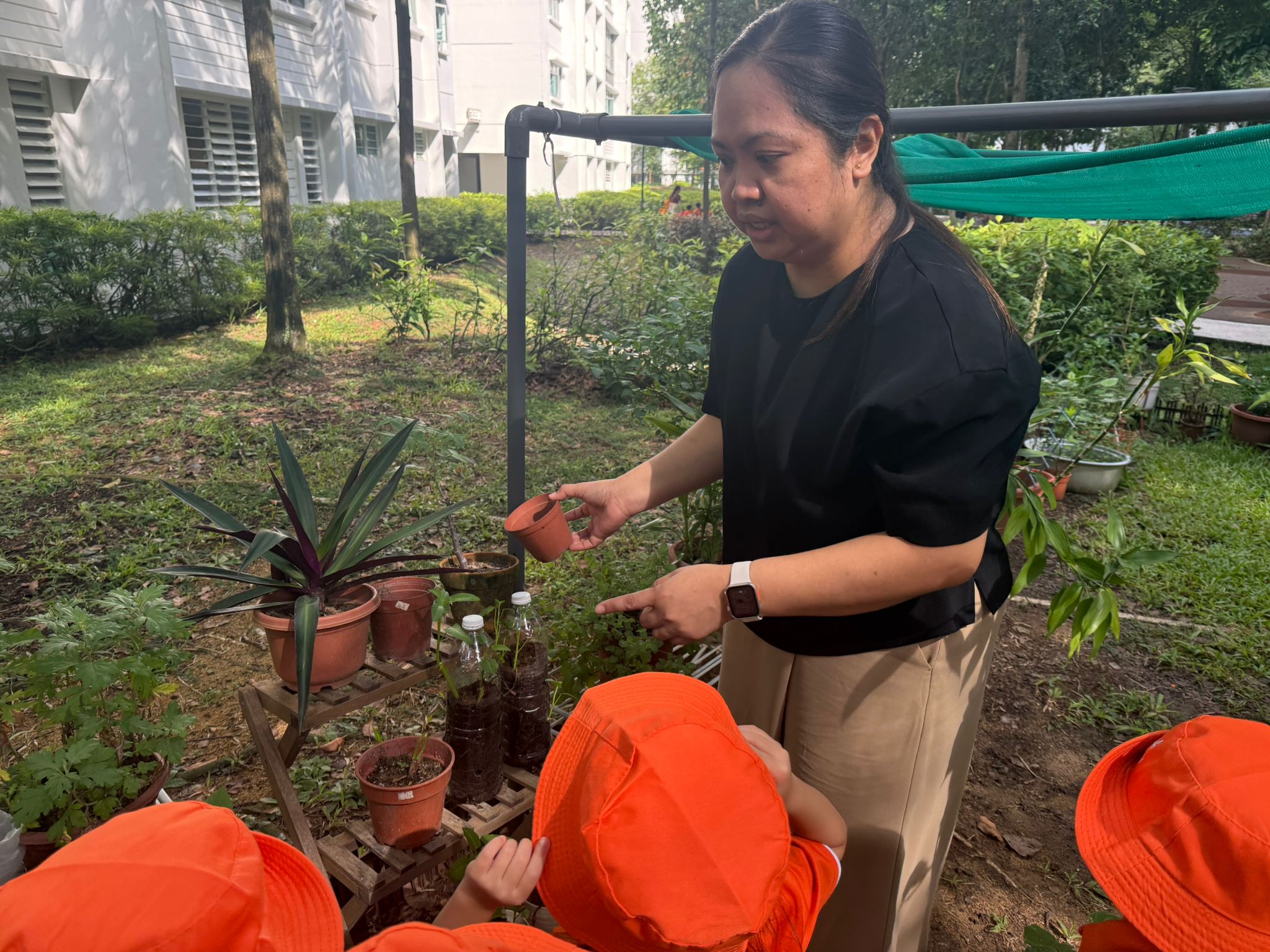 Learning Journey: Watering the plants — photo 4