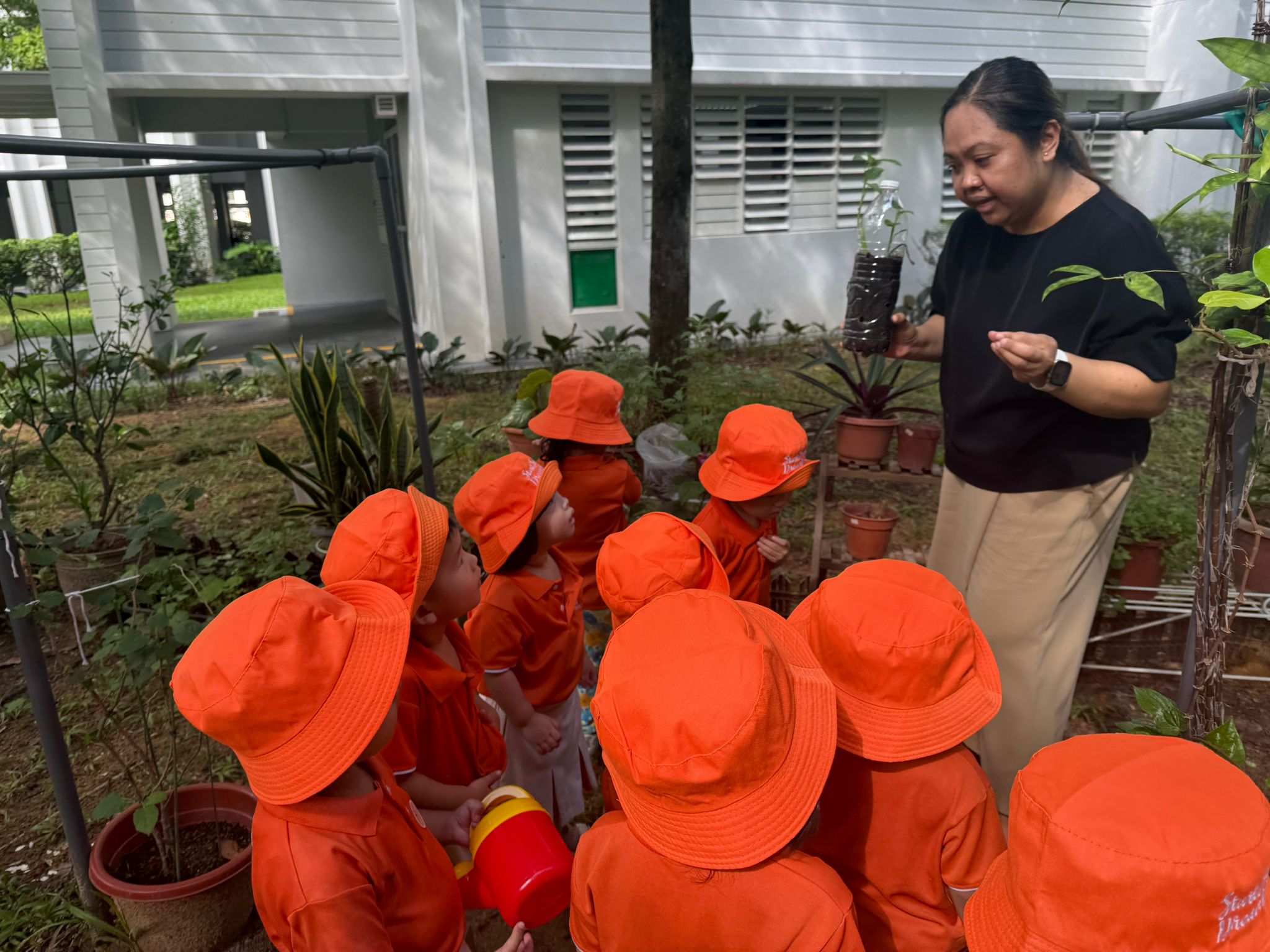 Learning Journey: Watering the plants — photo 5