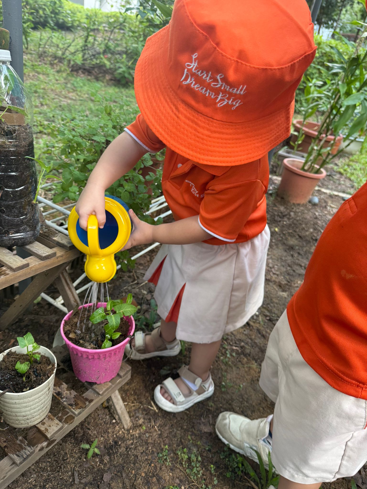 Learning Journey: Watering the plants — photo 6