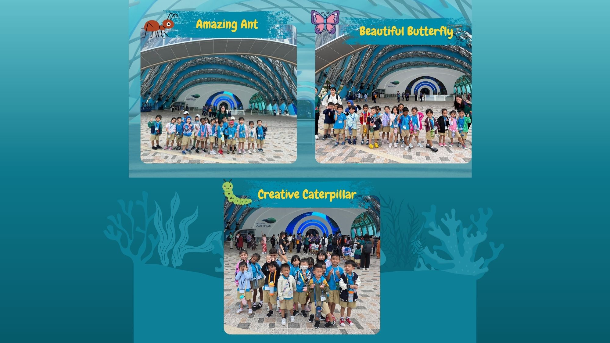 Learning Journey to Oceanarium — photo 1