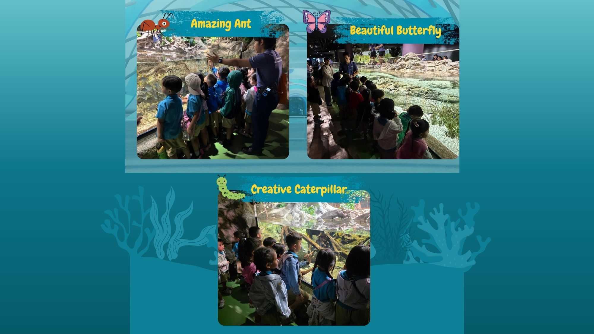 Learning Journey to Oceanarium — photo 2