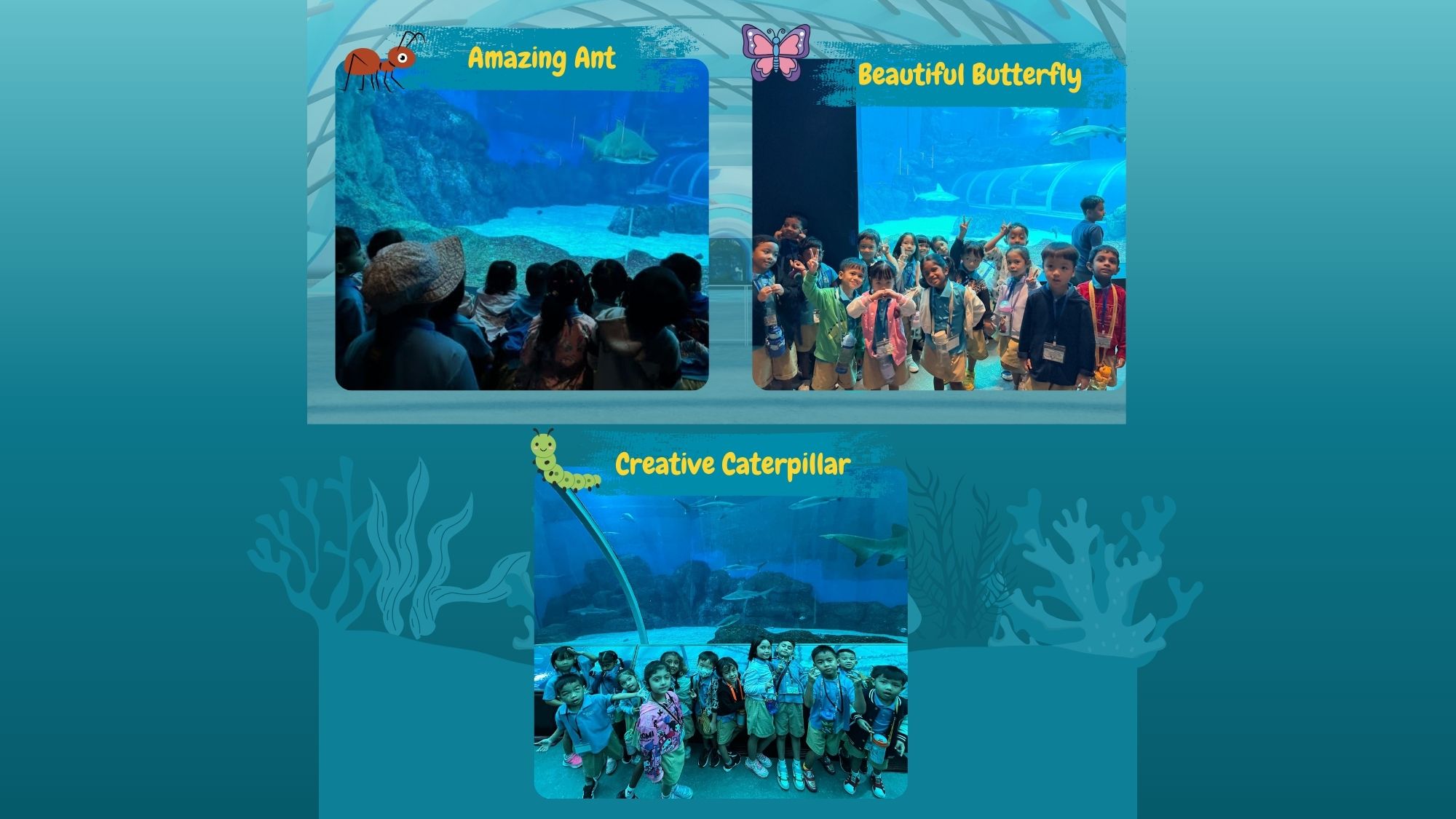 Learning Journey to Oceanarium — photo 3