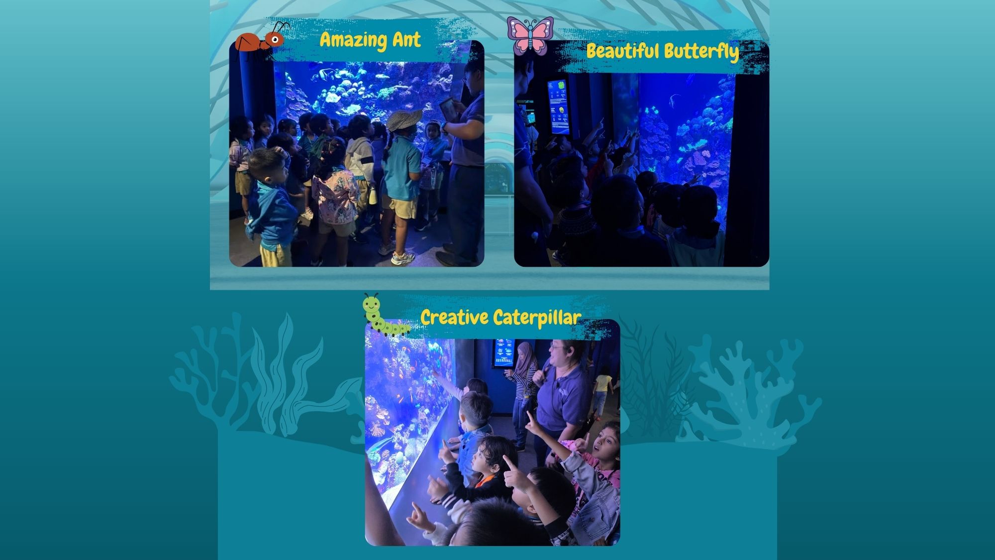 Learning Journey to Oceanarium — photo 4