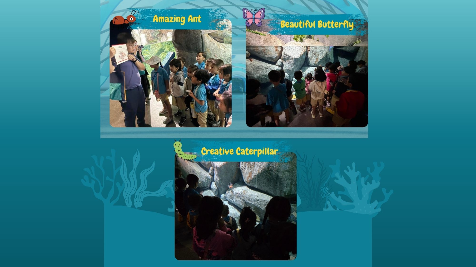 Learning Journey to Oceanarium — photo 5