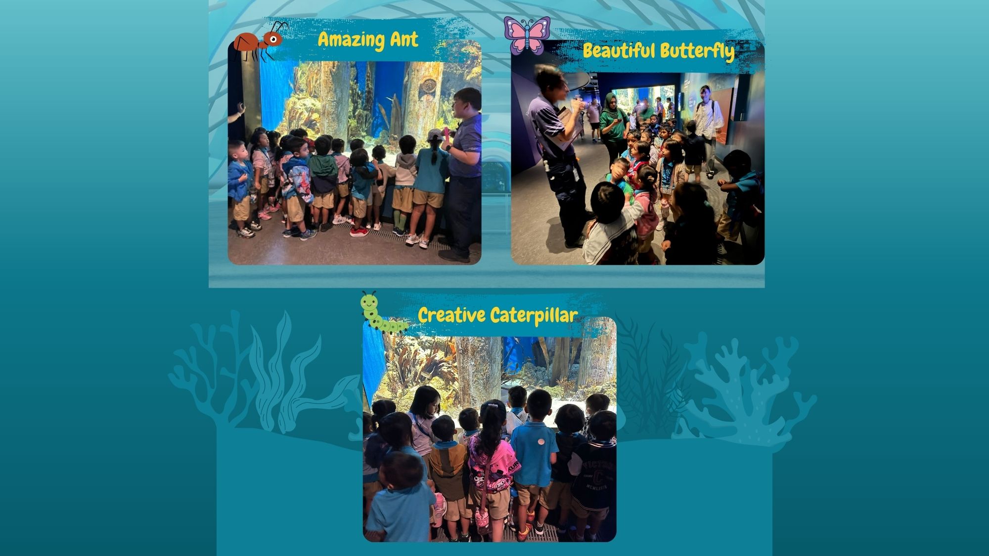 Learning Journey to Oceanarium — photo 6
