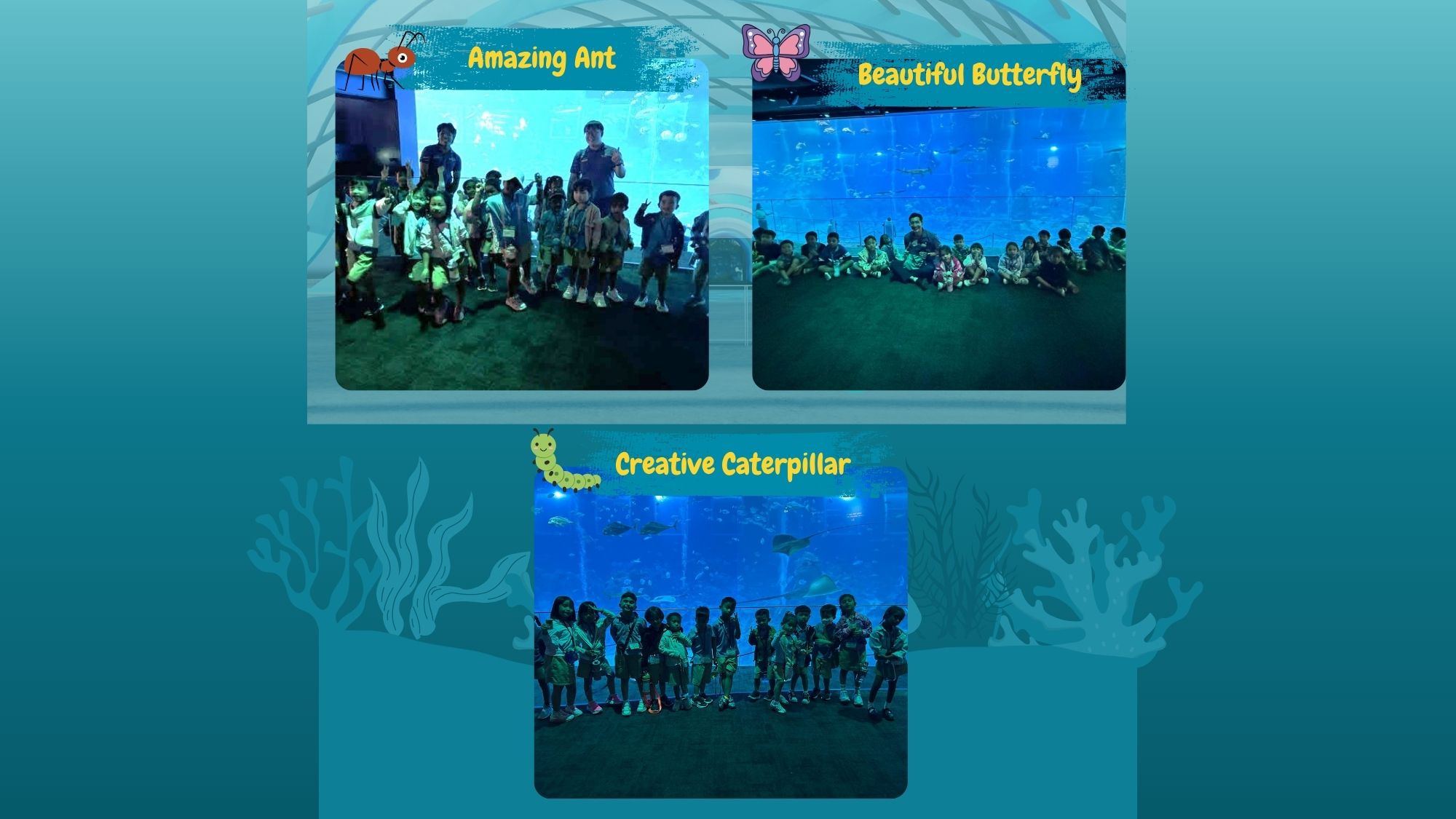 Learning Journey to Oceanarium — photo 7