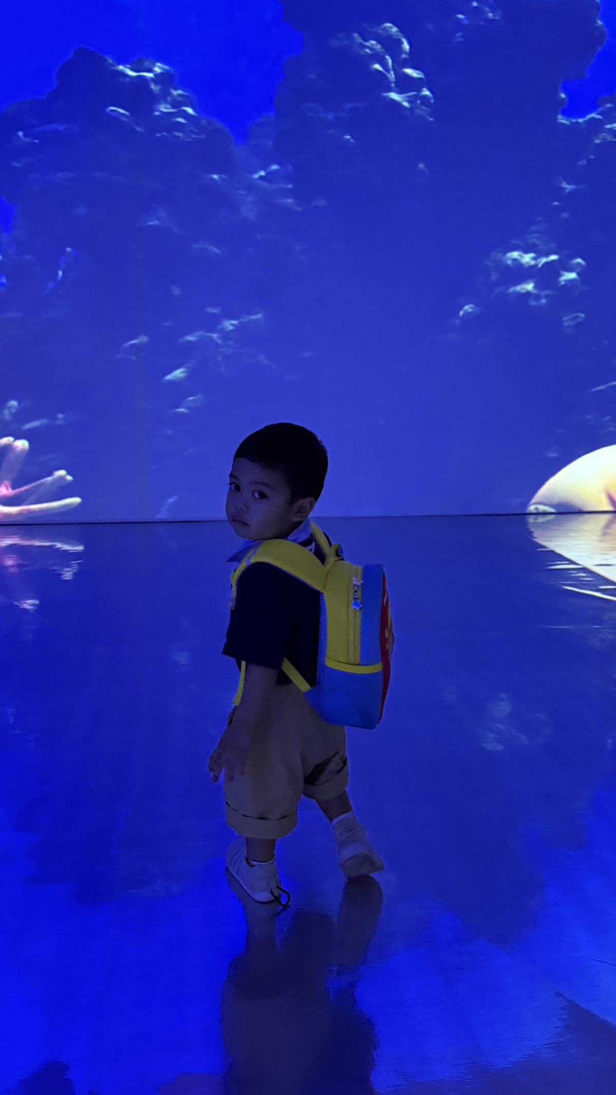 Caring for the Nature and Environment - Save the Sea — photo 68