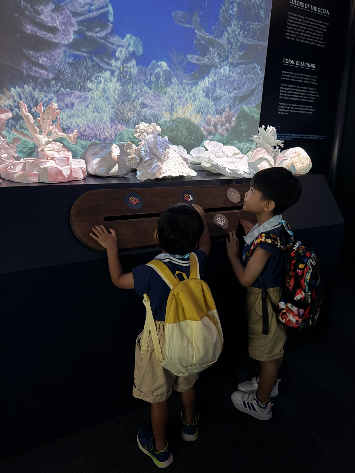 Caring for the Nature and Environment - Save the Sea — photo 74