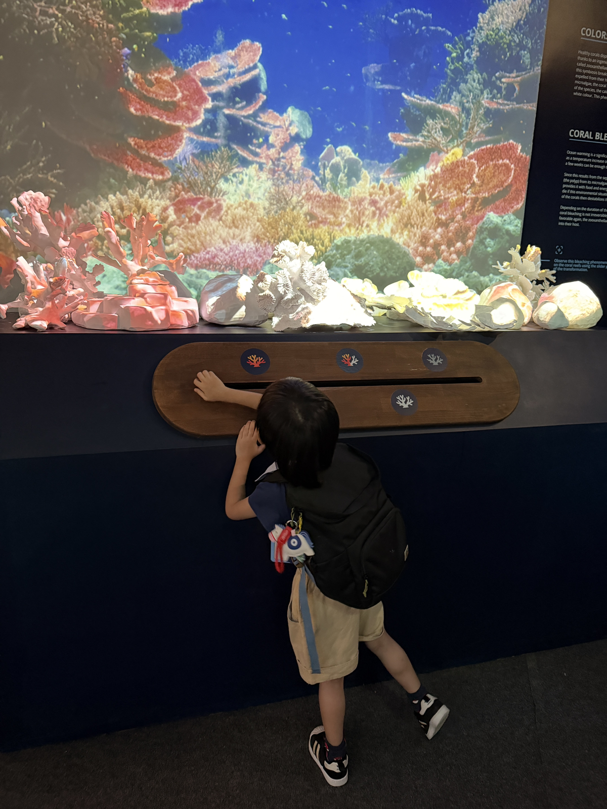 Caring for the Nature and Environment - Save the Sea — photo 76