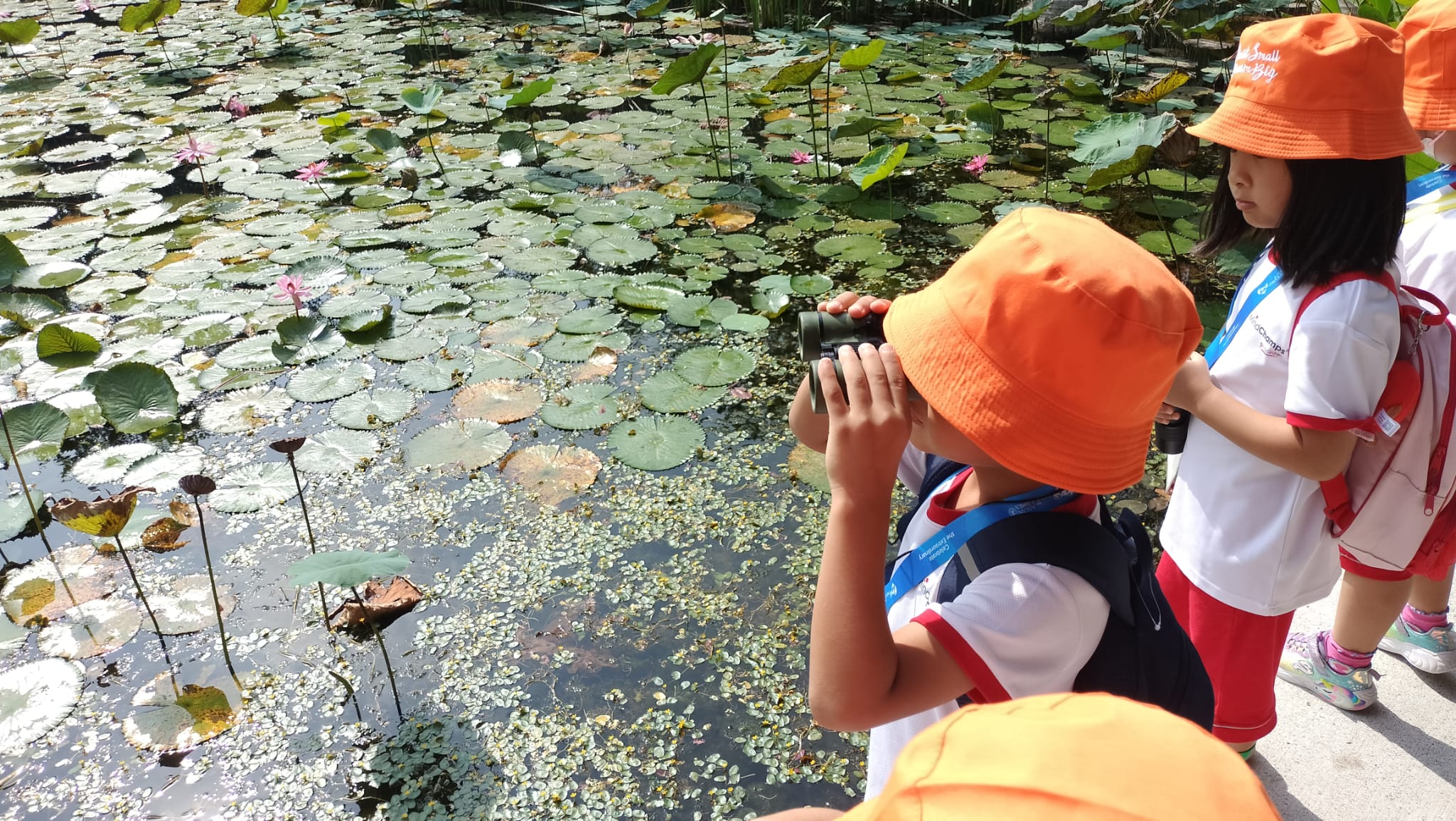 MCYCK Caring for Nature and Environment: Wildlife Conservation — photo 2