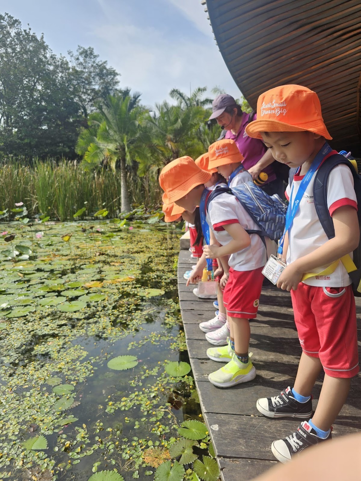 MCYCK Caring for Nature and Environment: Wildlife Conservation — photo 7