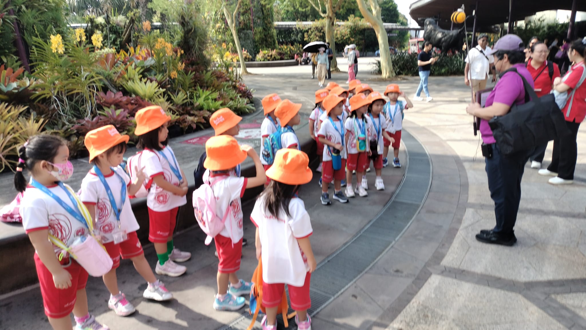 MCYCK Caring for Nature and Environment: Wildlife Conservation — photo 9