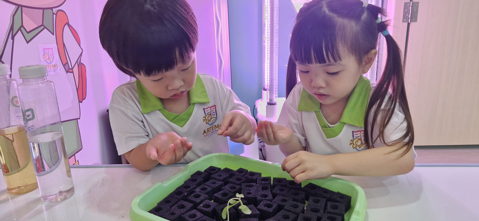 HYDROPONICS AND SUSTAINABLE ENERGY - SSDB PROJECT 2026 Introduction and Experimentation — photo 2