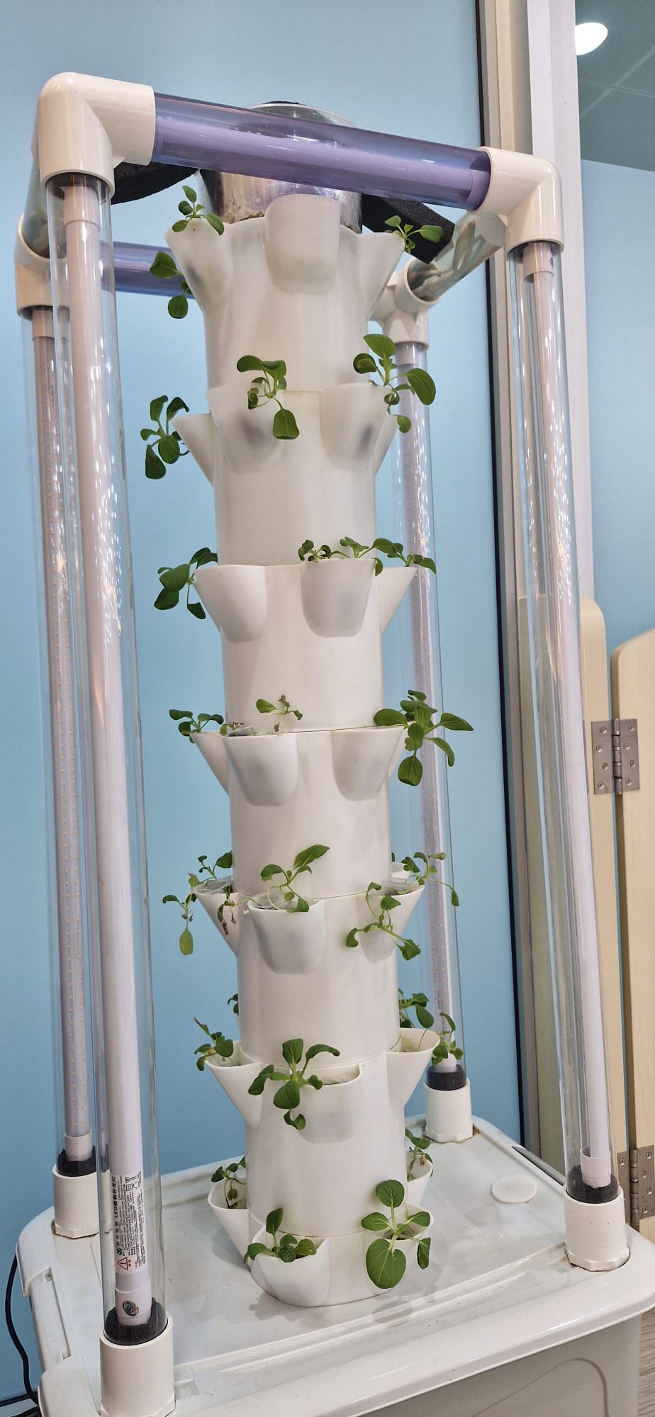 HYDROPONICS AND SUSTAINABLE ENERGY - SSDB PROJECT 2026 Introduction and Experimentation — photo 9
