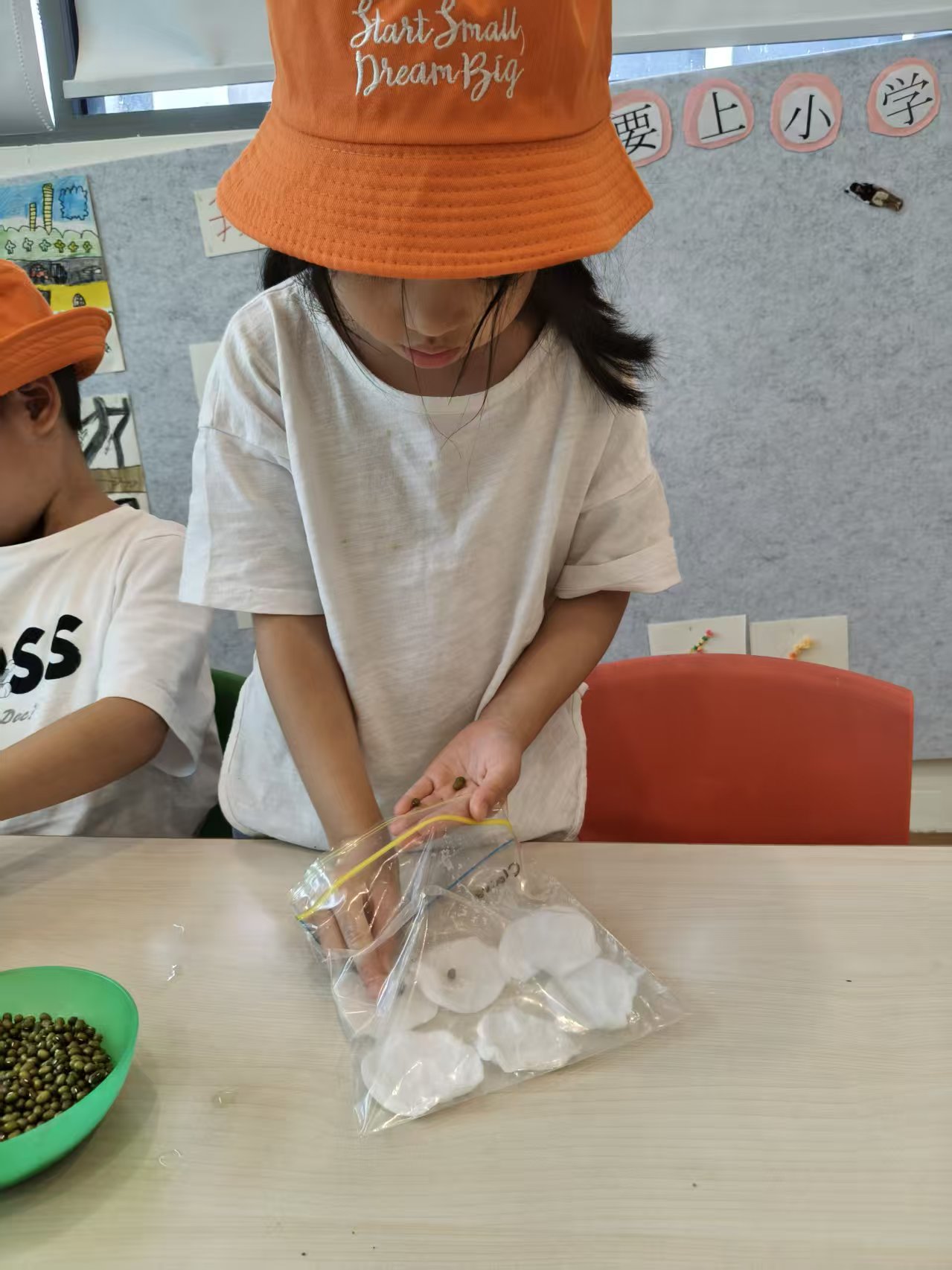 绿植发布会 — photo 14