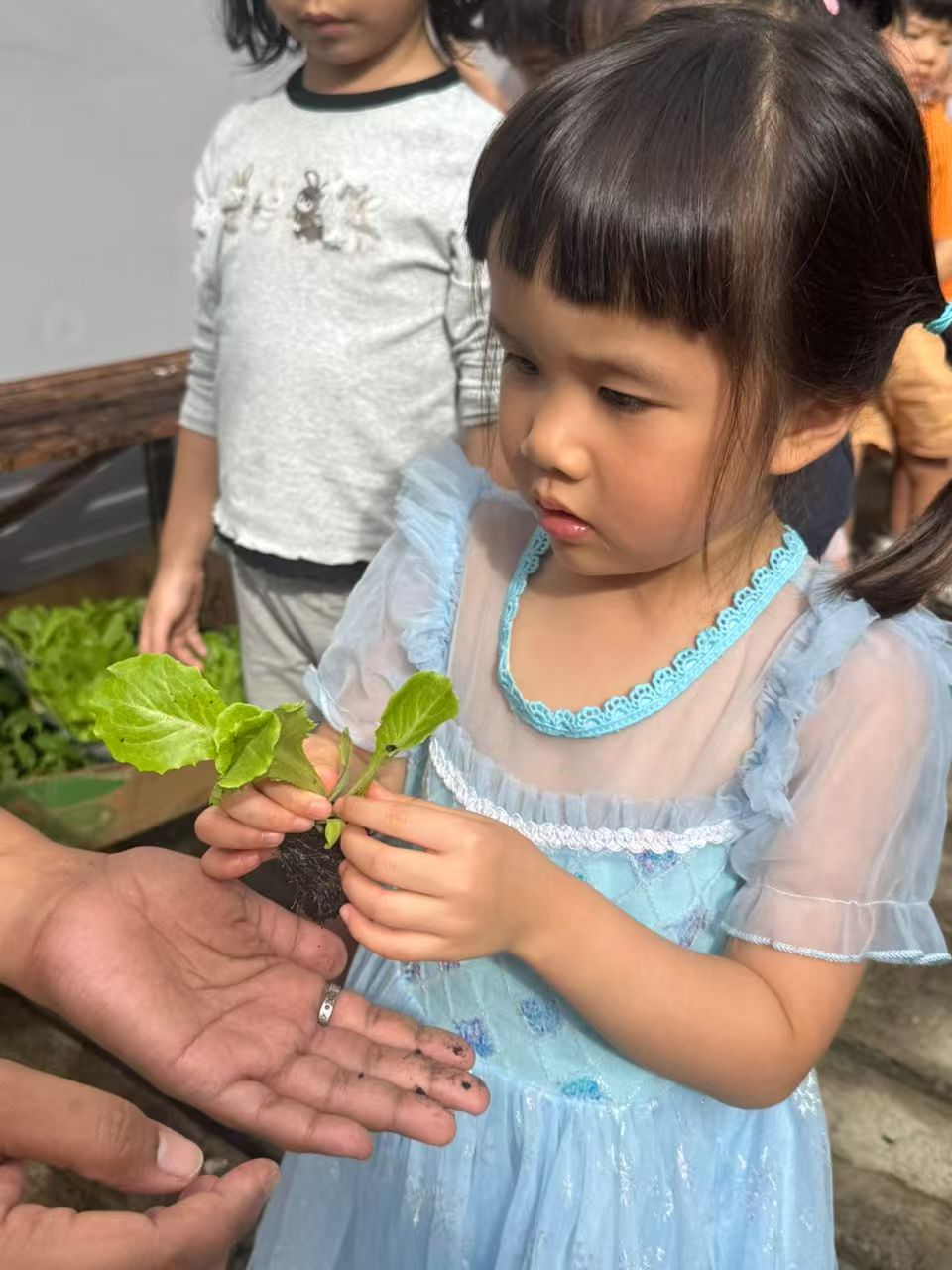 绿植发布会