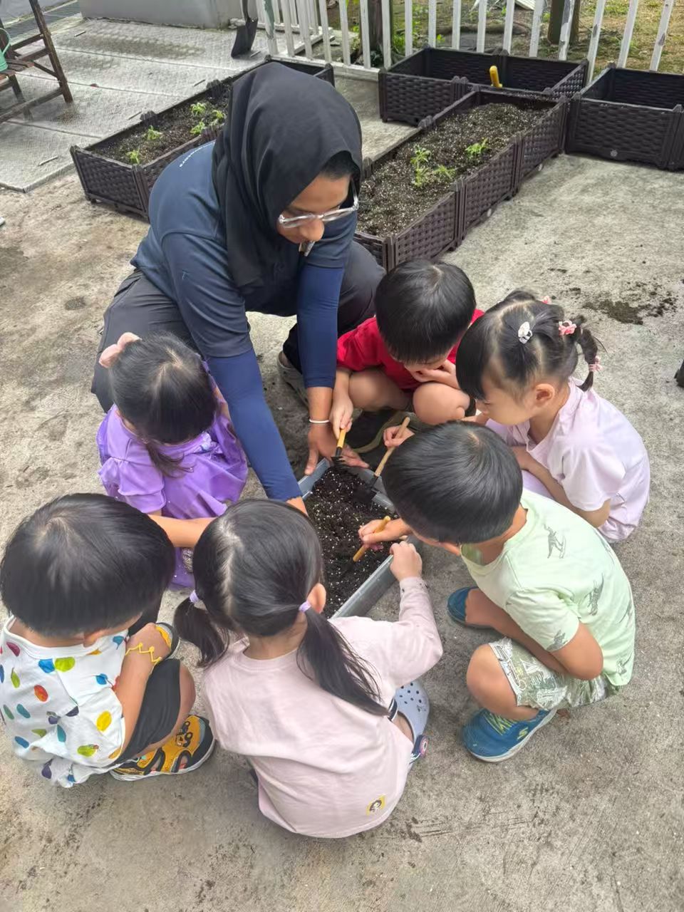 绿植发布会 — photo 7