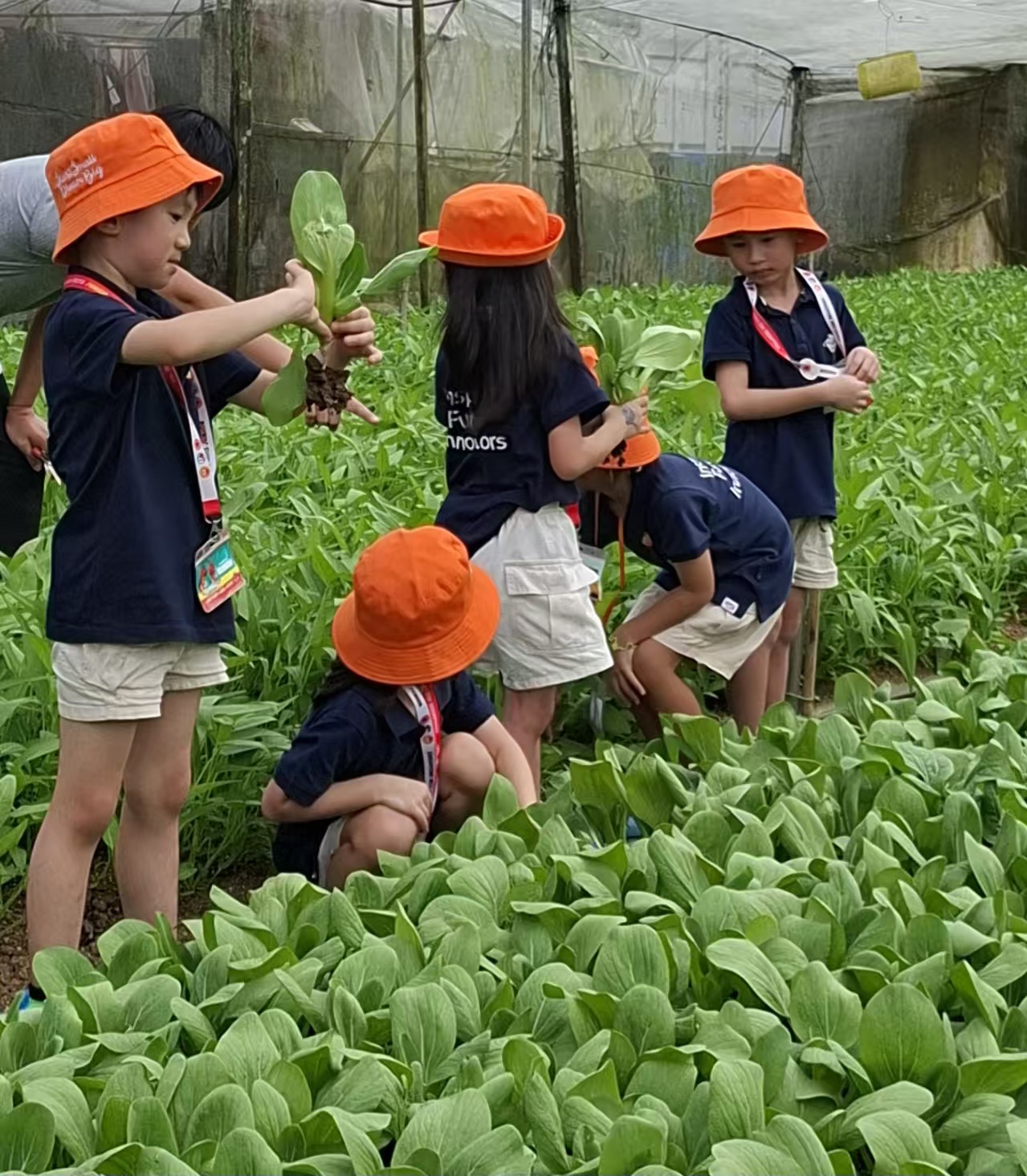 绿植发布会 — photo 4