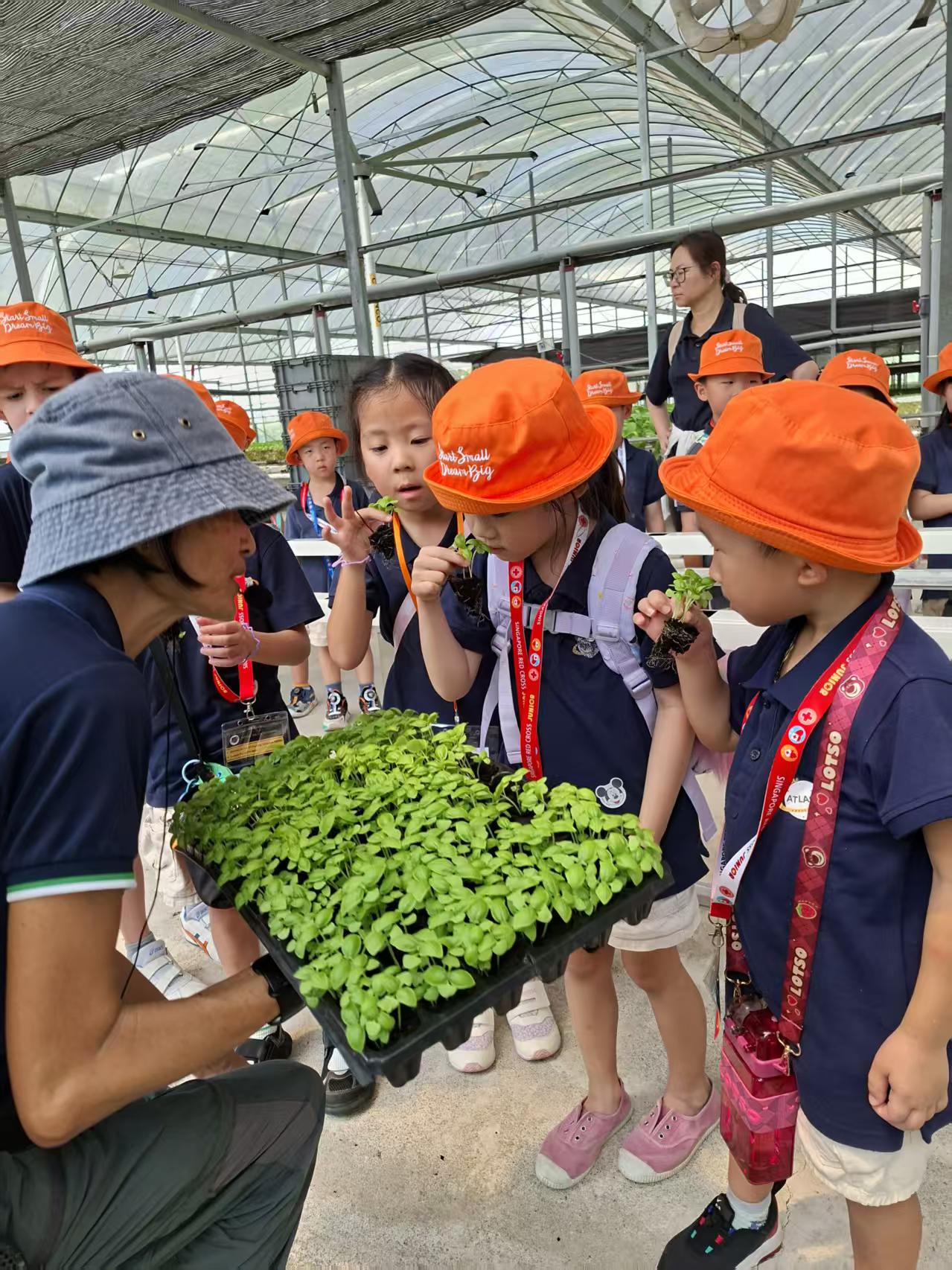 绿植发布会 — photo 6