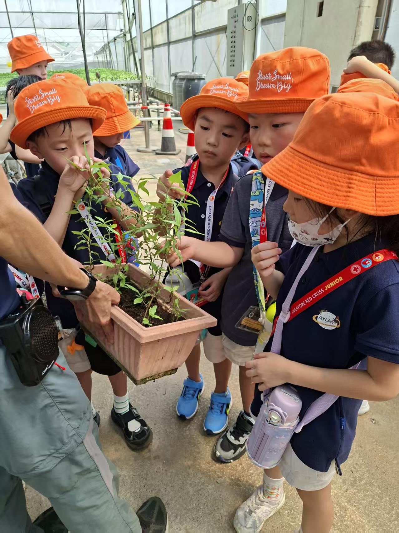 绿植发布会 — photo 7