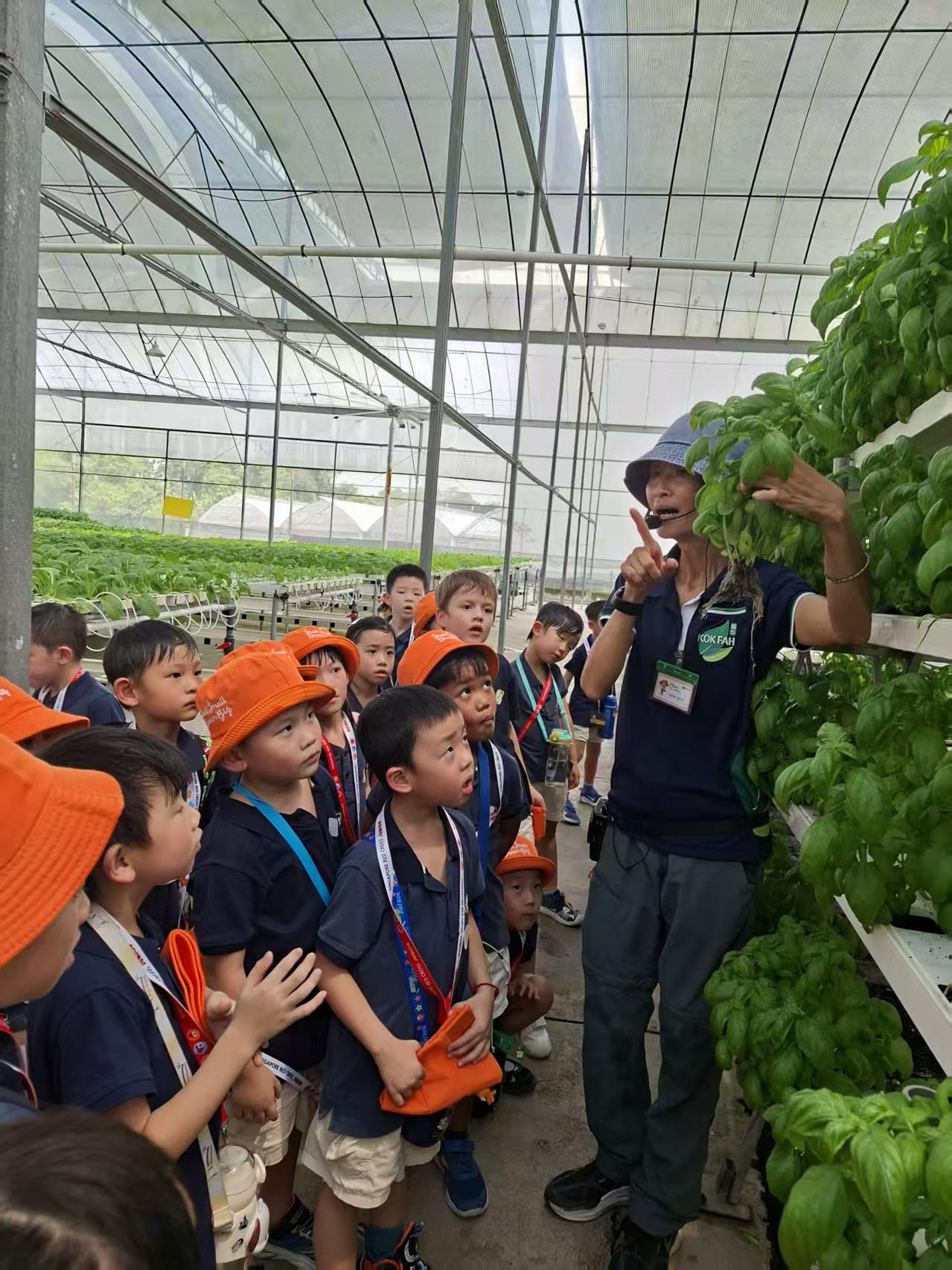 绿植发布会 — photo 9