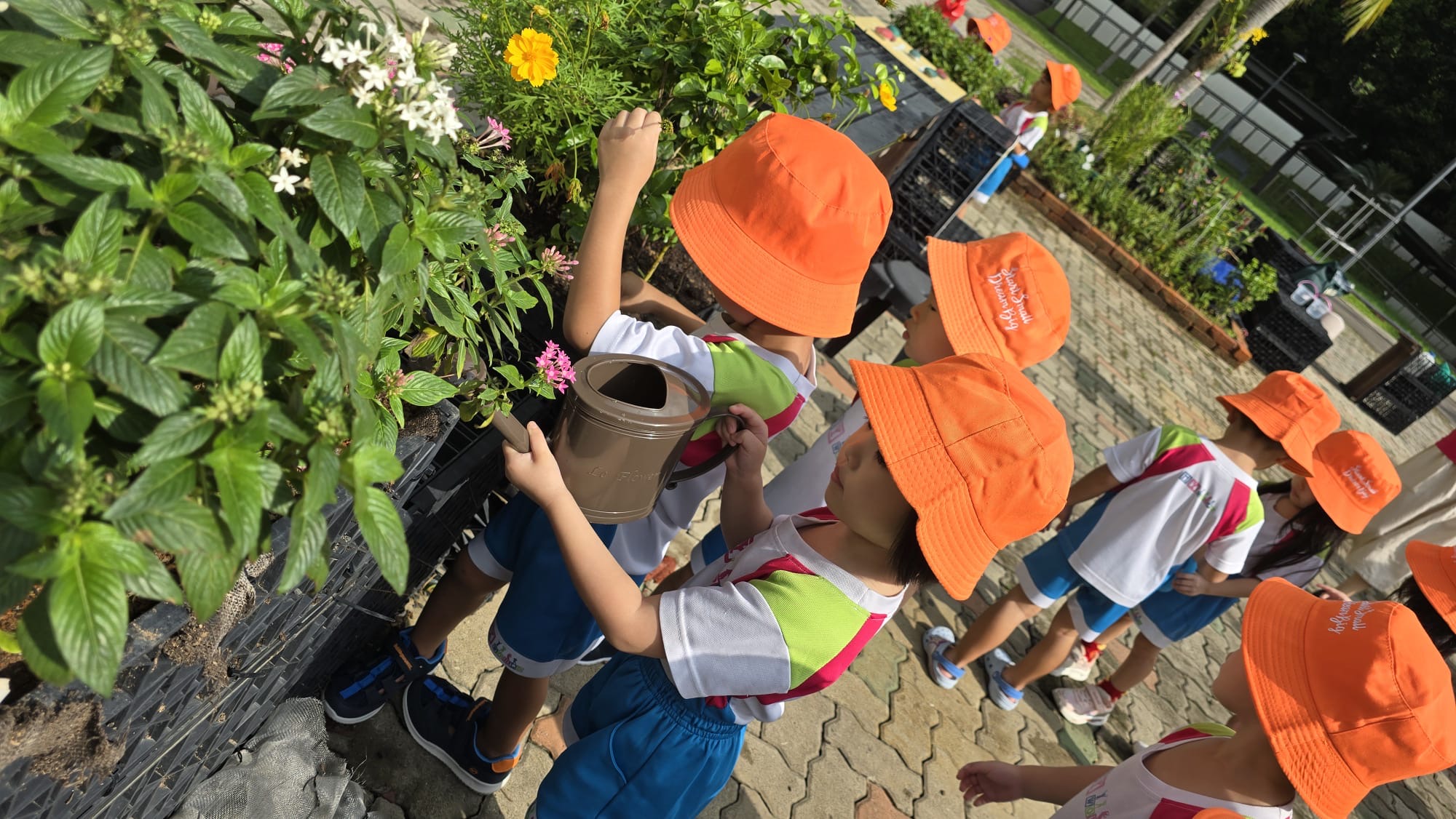 Caring for Our Community Garden – Growing Through Daily Responsibilities (On-Going) — photo 1
